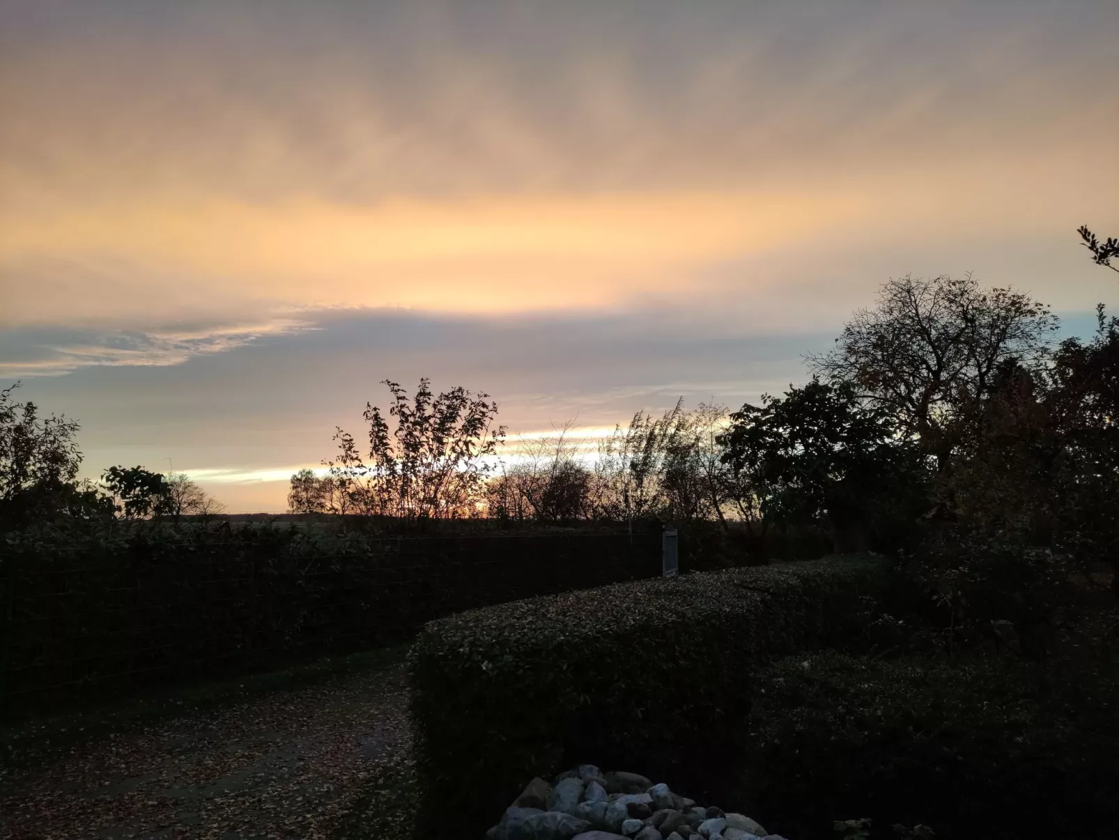 Janet Ratschkowski-Buiten