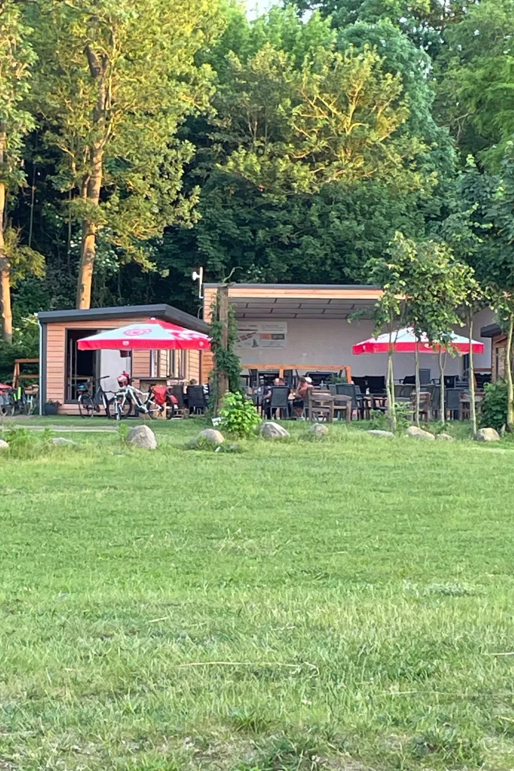 In Dahmen Terrasse und Grill-Buiten