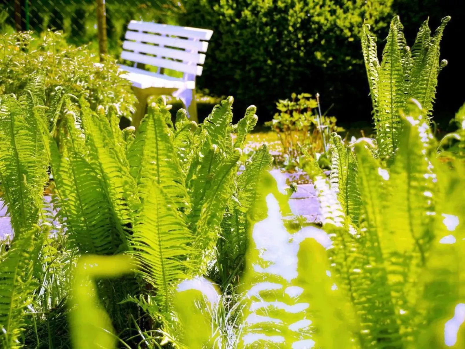 In Storkow mit Schönem Garten-Image-tags.info