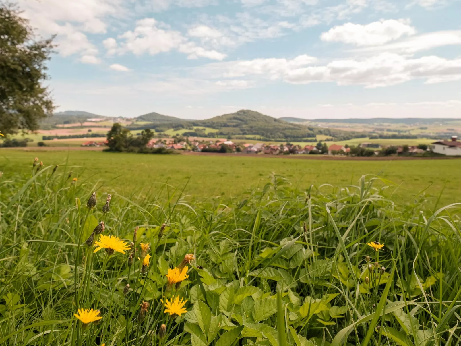 Fewo. Liebelt-Image-tags.info