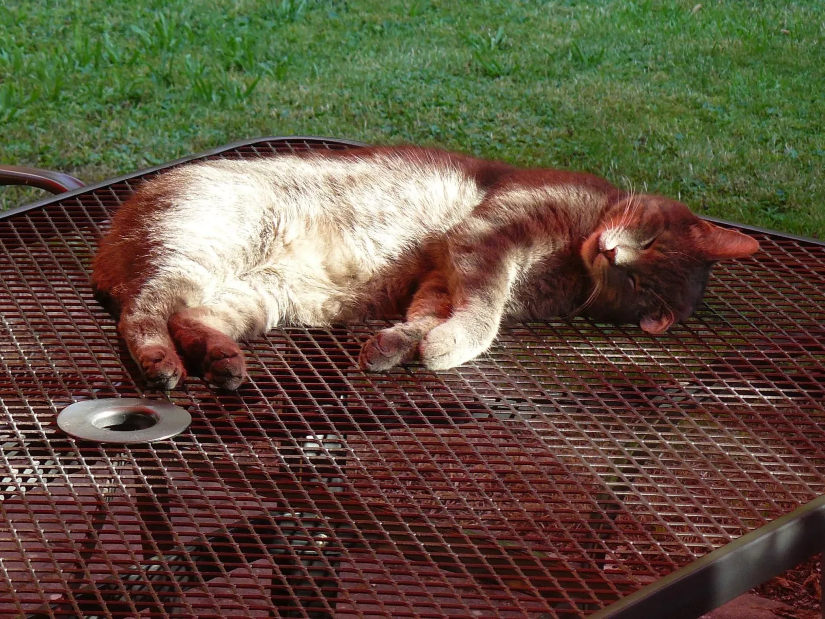 Hummelcasa-Image-tags.info