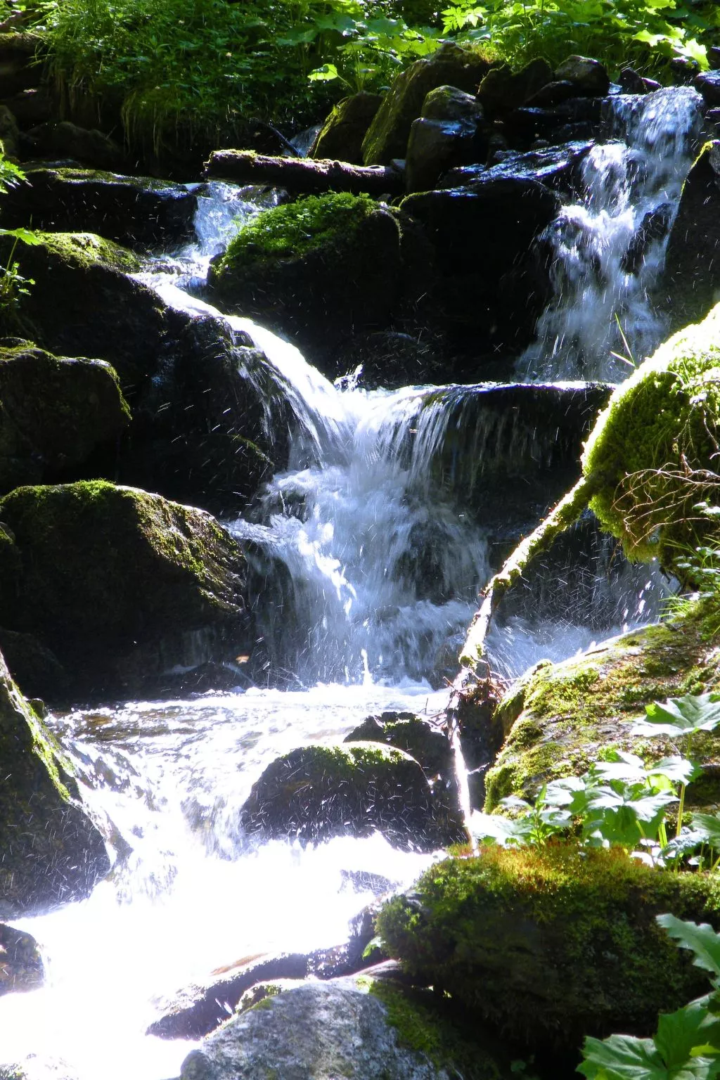 Modernes Ferienhaus in Granitzen mit Grill-Buiten