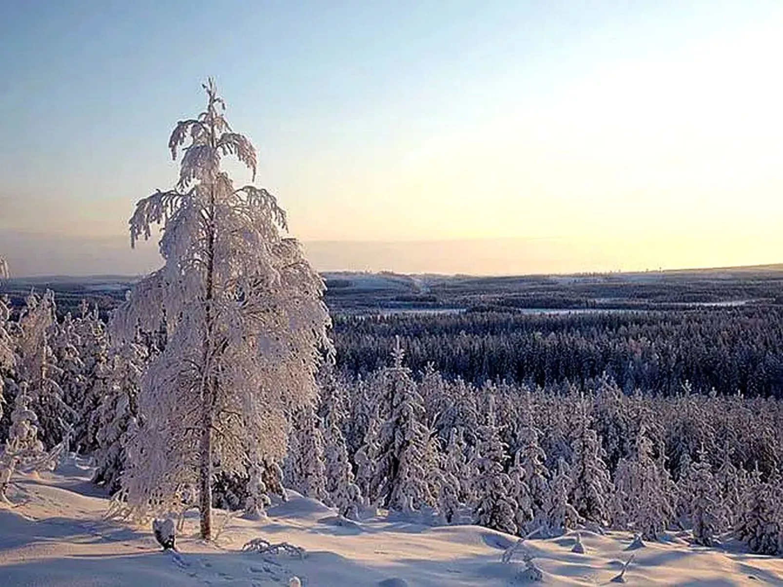 Am Wald mit Kaminofen und Veranda-Buiten