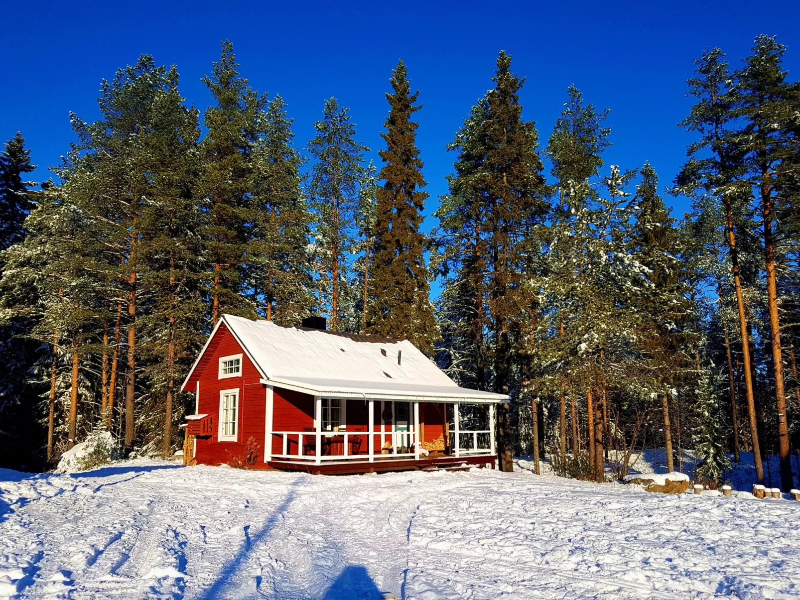 Charmantes Ferienhaus in der Wildnis Lapplands-Buiten
