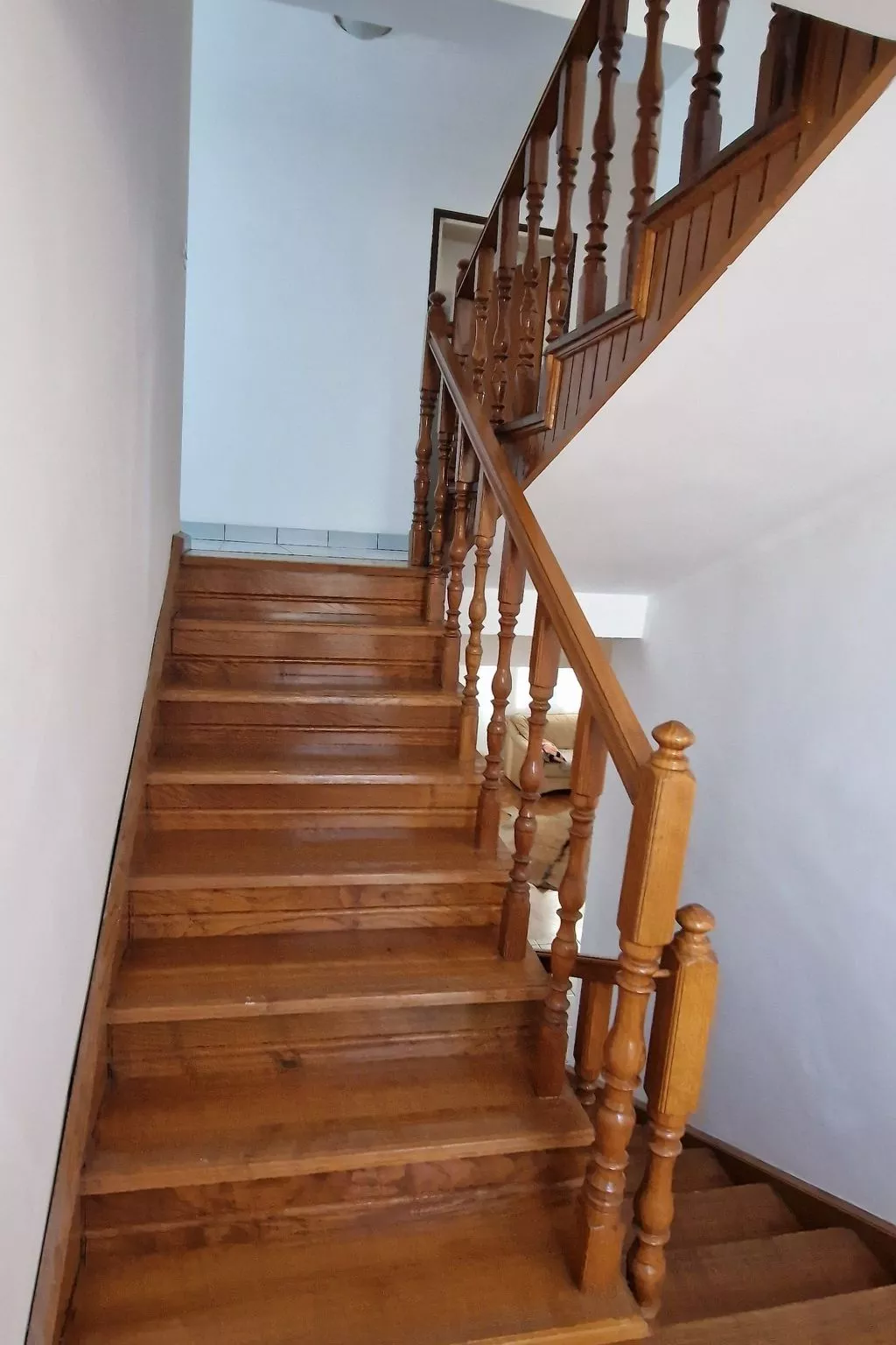 Schöne große Villa Vrcin - Binnen