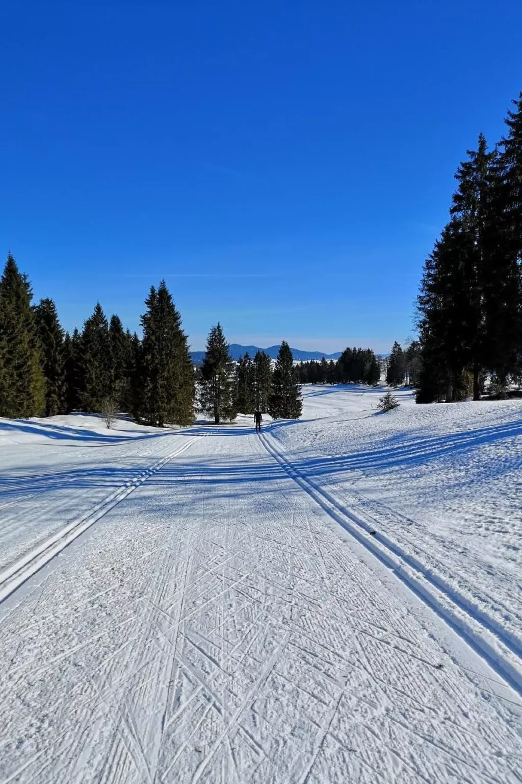Wohnung in altem, renoviertem Bauernhaus-Buiten