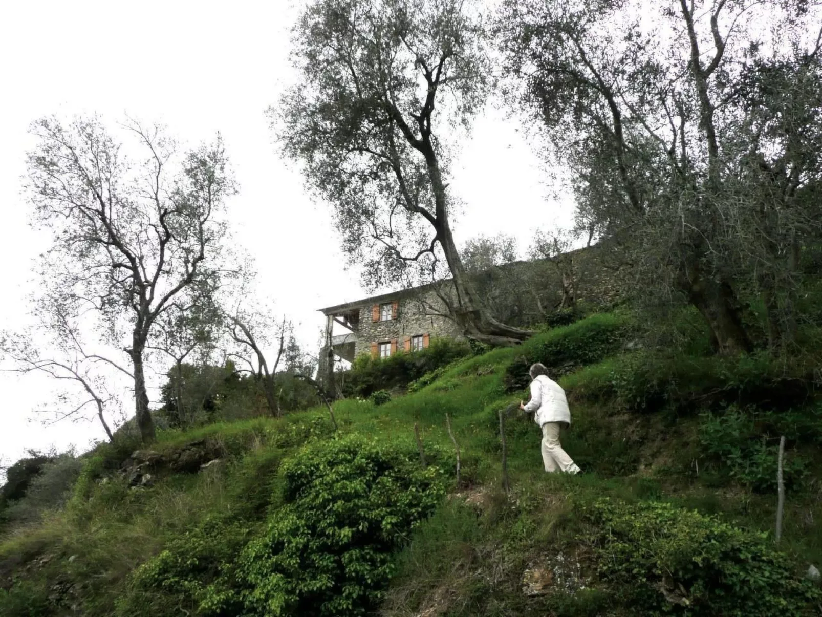 CASA SISSI, Sehnsuchtsort zwischen Olivenhainen-Buiten