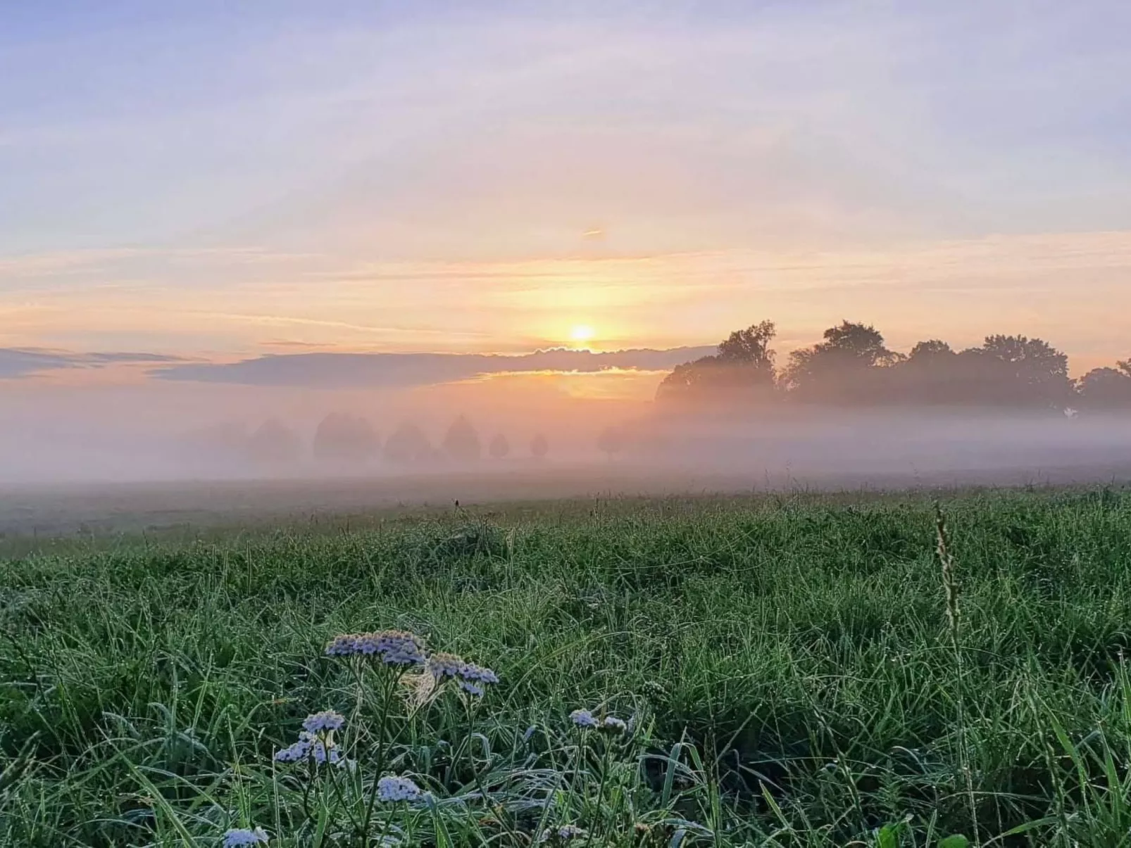 Landhaus Müritzliebe-Image-tags.info