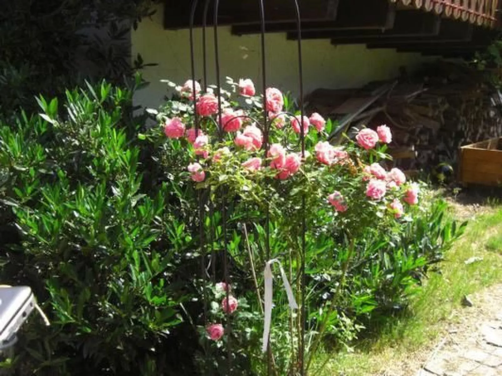 Wohnung "Himmelreich"-Buiten