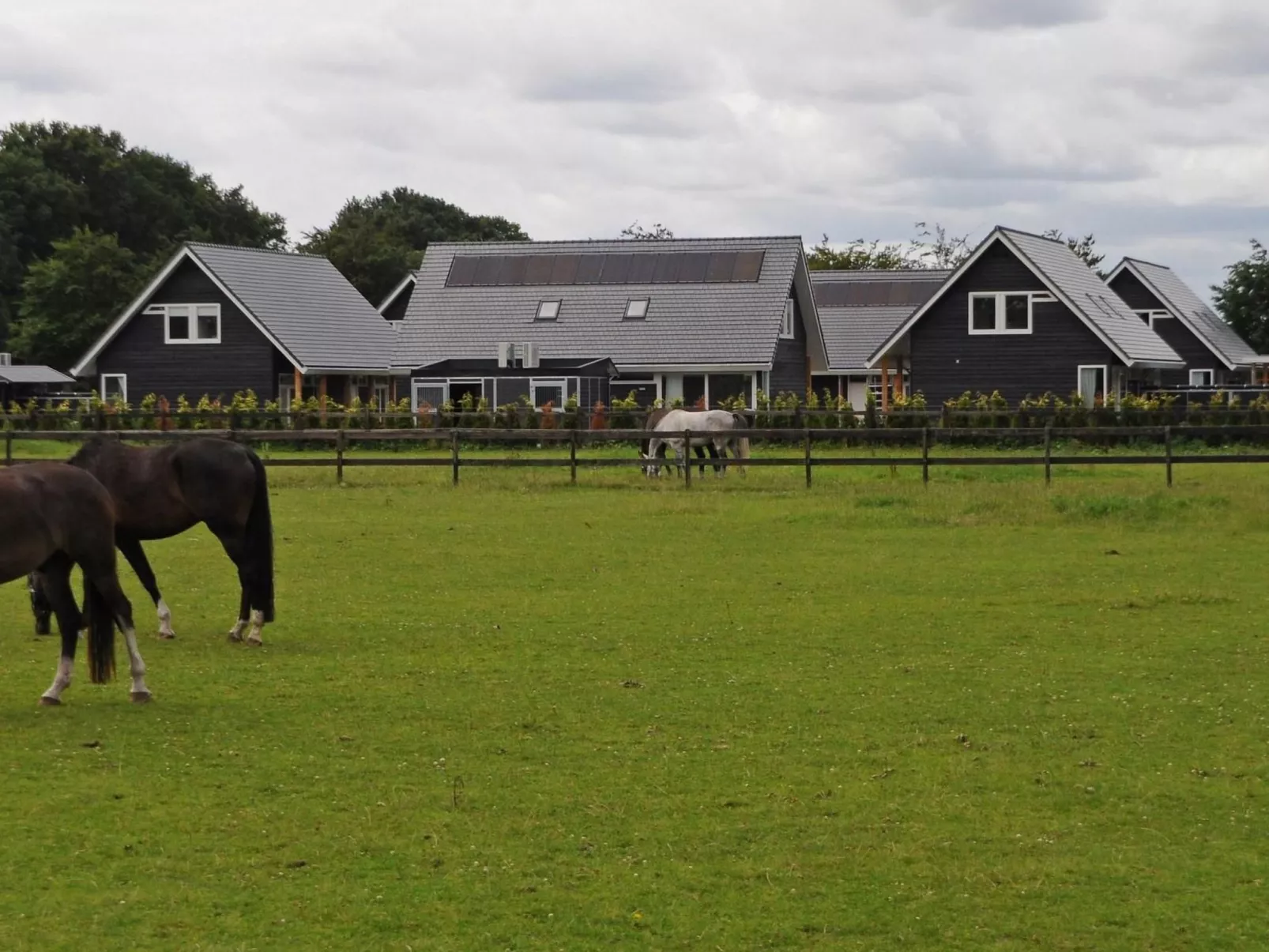 Anwesen "Oranjehorst"-Buiten