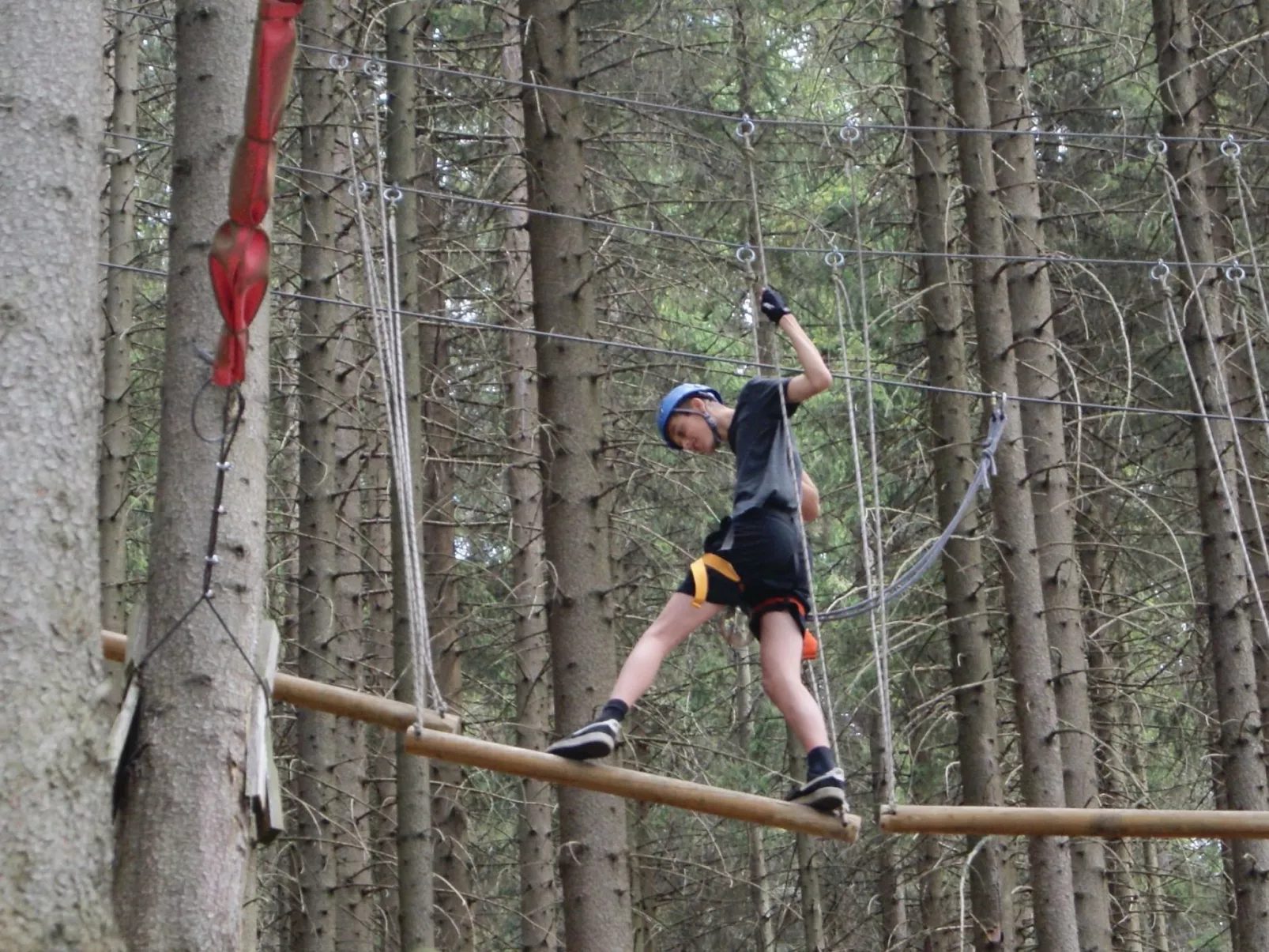 In natürlicher Umgebung-Buiten