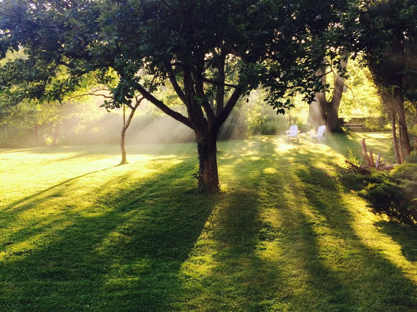 The Water Mill of Tourteron-Buiten