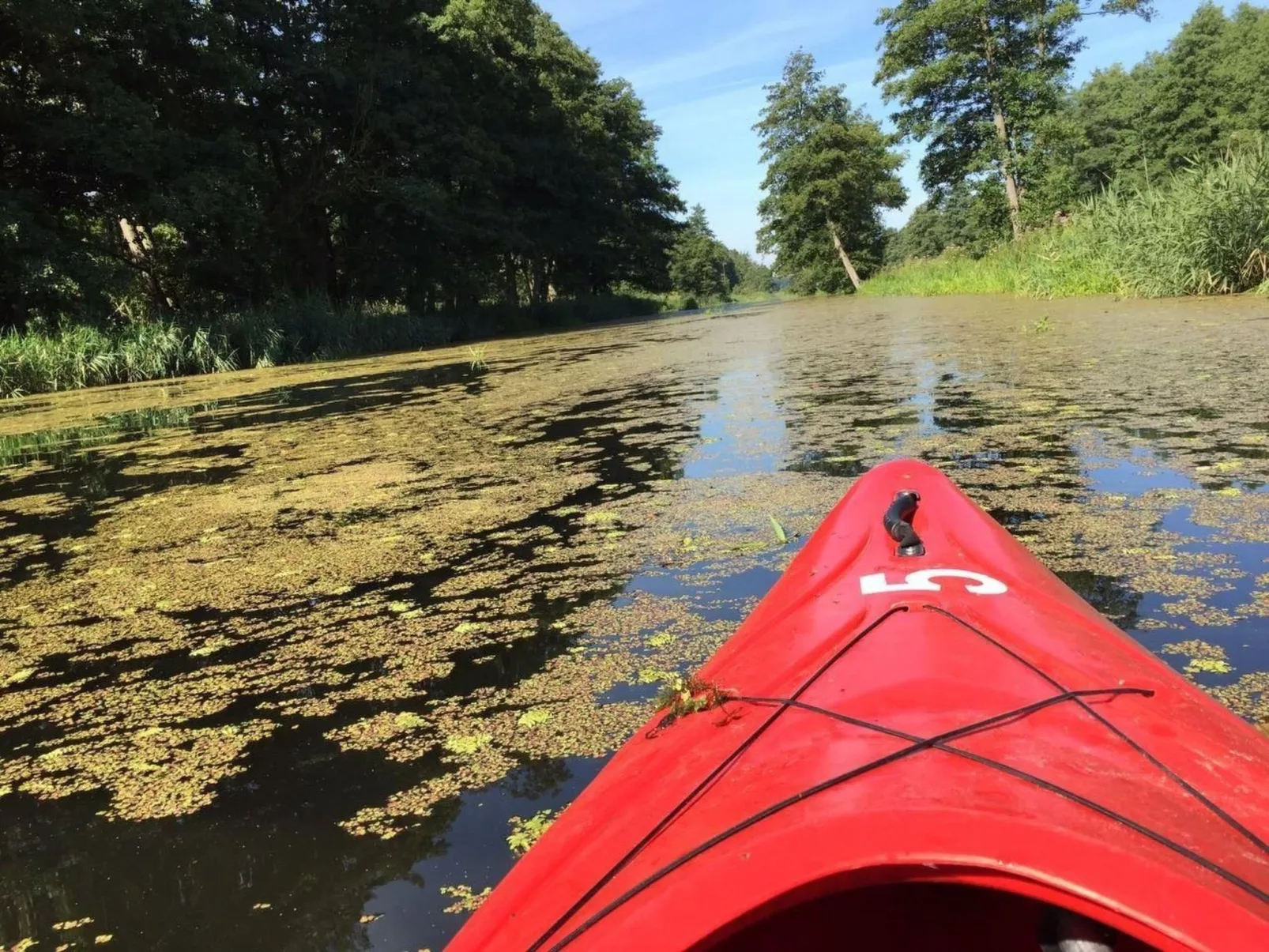 Juwel an der Lagune-Buiten