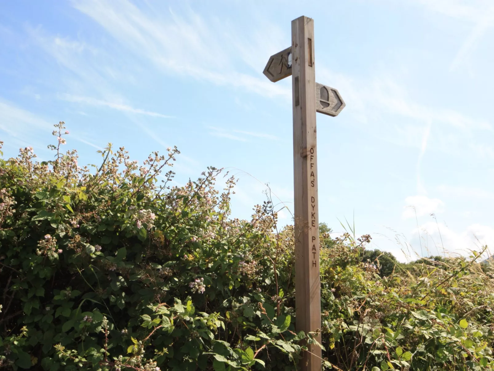 Cottage "Foxes Reach" mit Whirlpool-Buiten