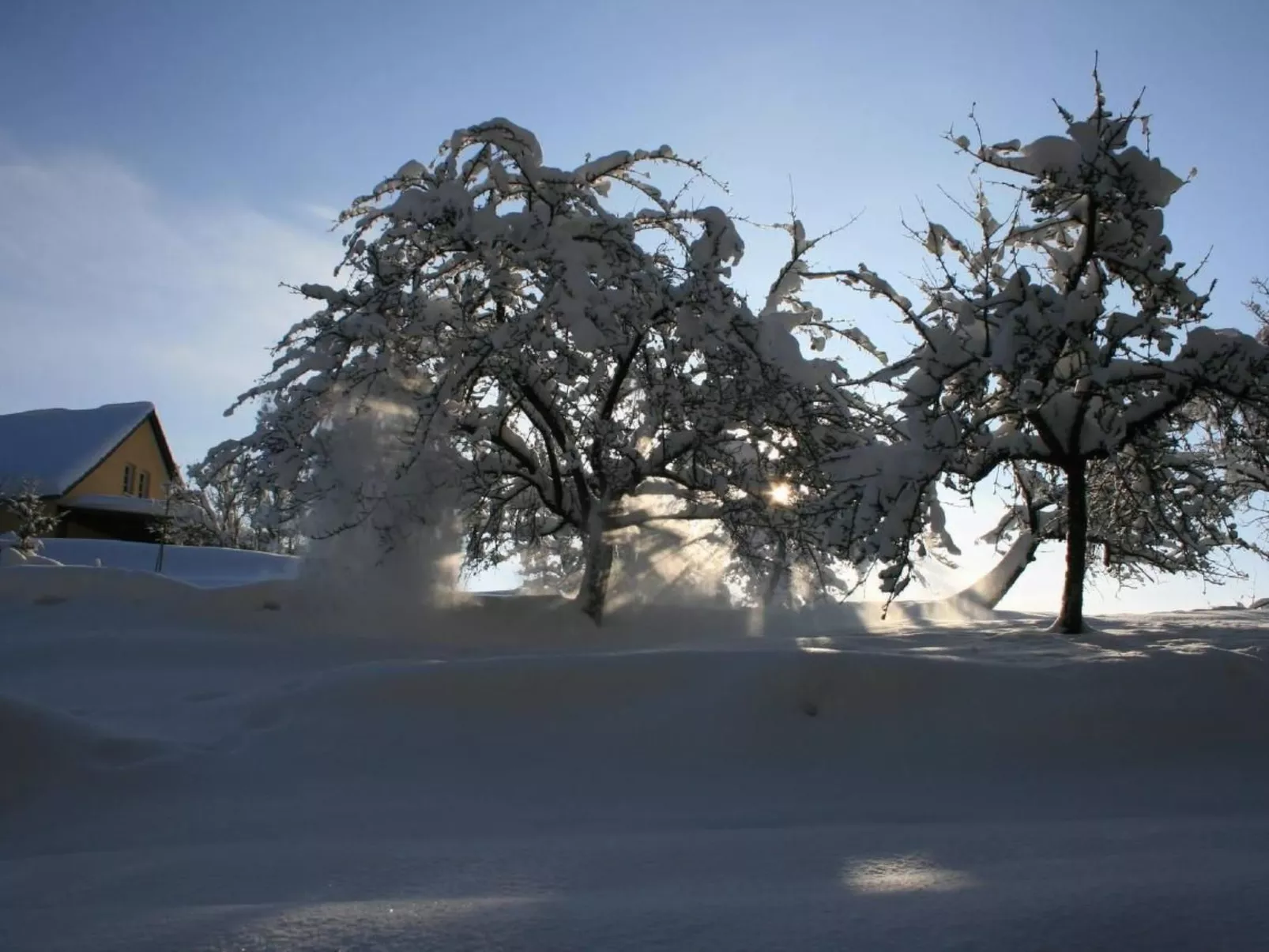 Fewo Altes Schulhaus-Buiten