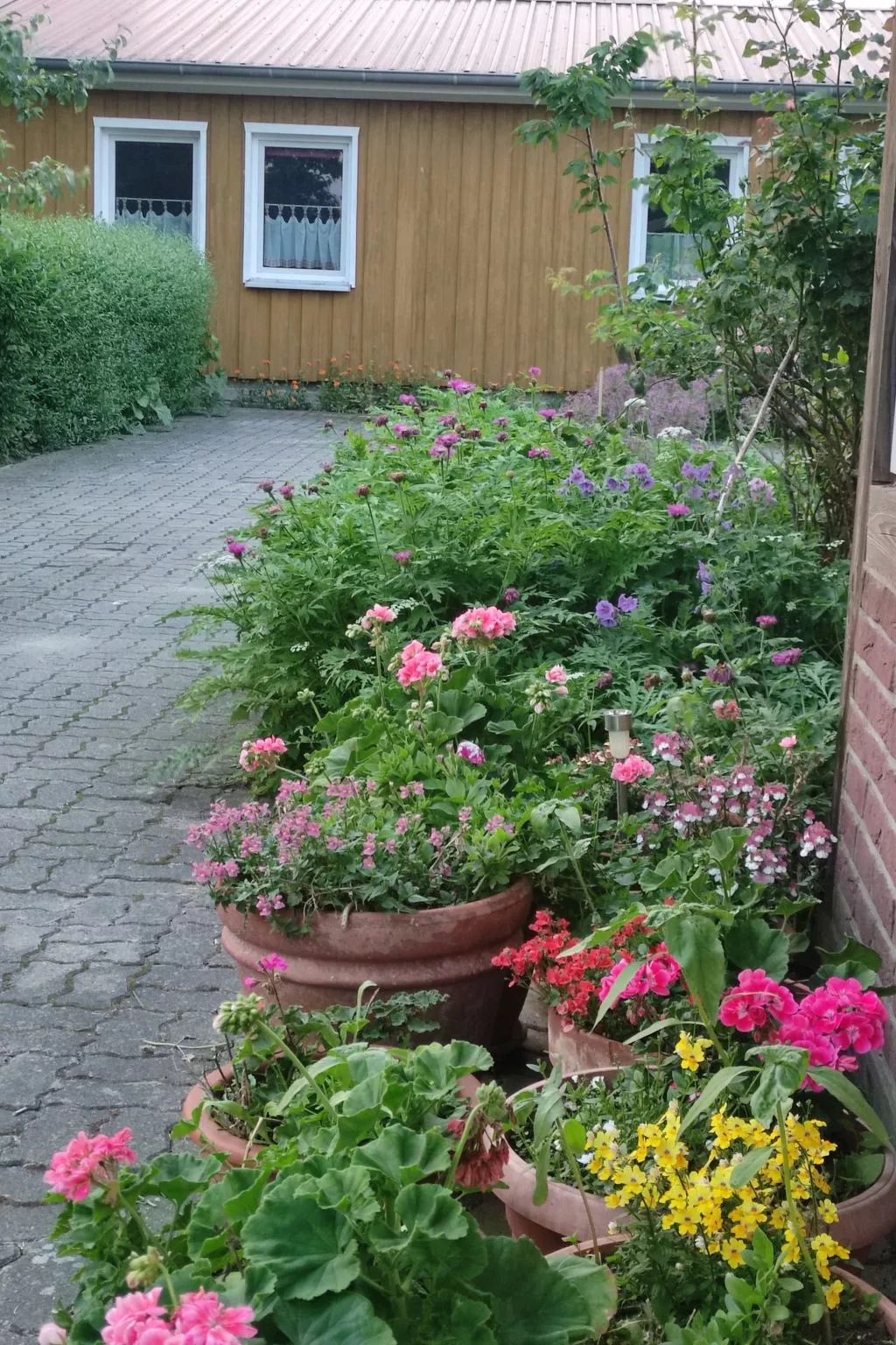 Janet Ratschkowski-Buiten