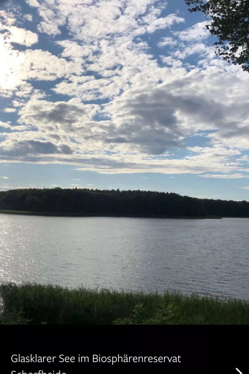 Reetdach Ferienhaus am Lübbesee Sauna Bootsteg neu-Buiten