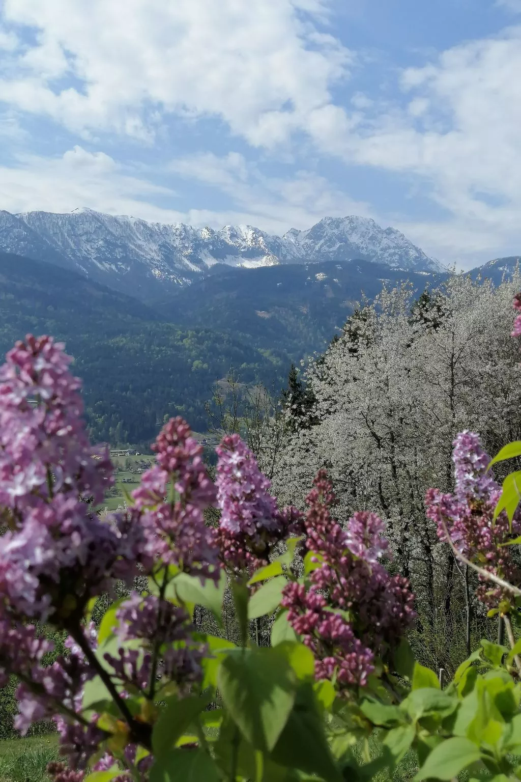 Waldpension Ranner-Buiten
