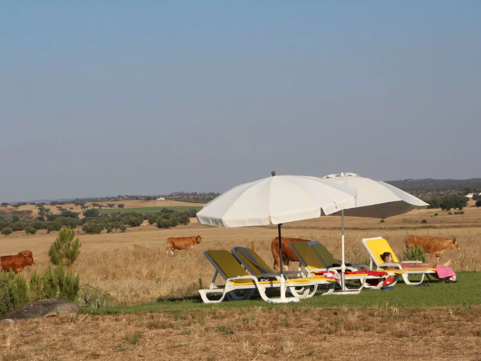 Ländlicher Tourismus-Image-tags.info