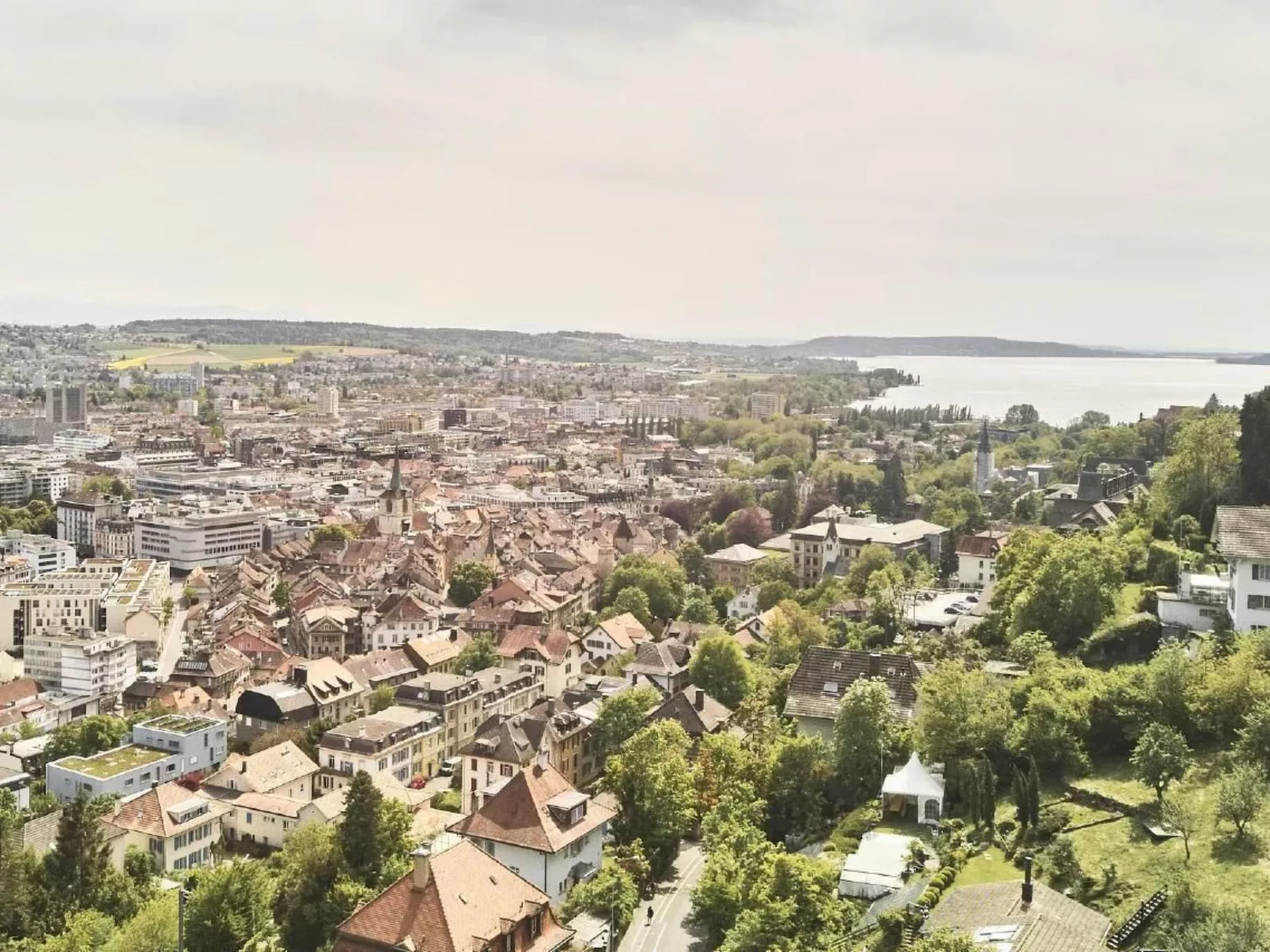 Eich-Image-tags.info