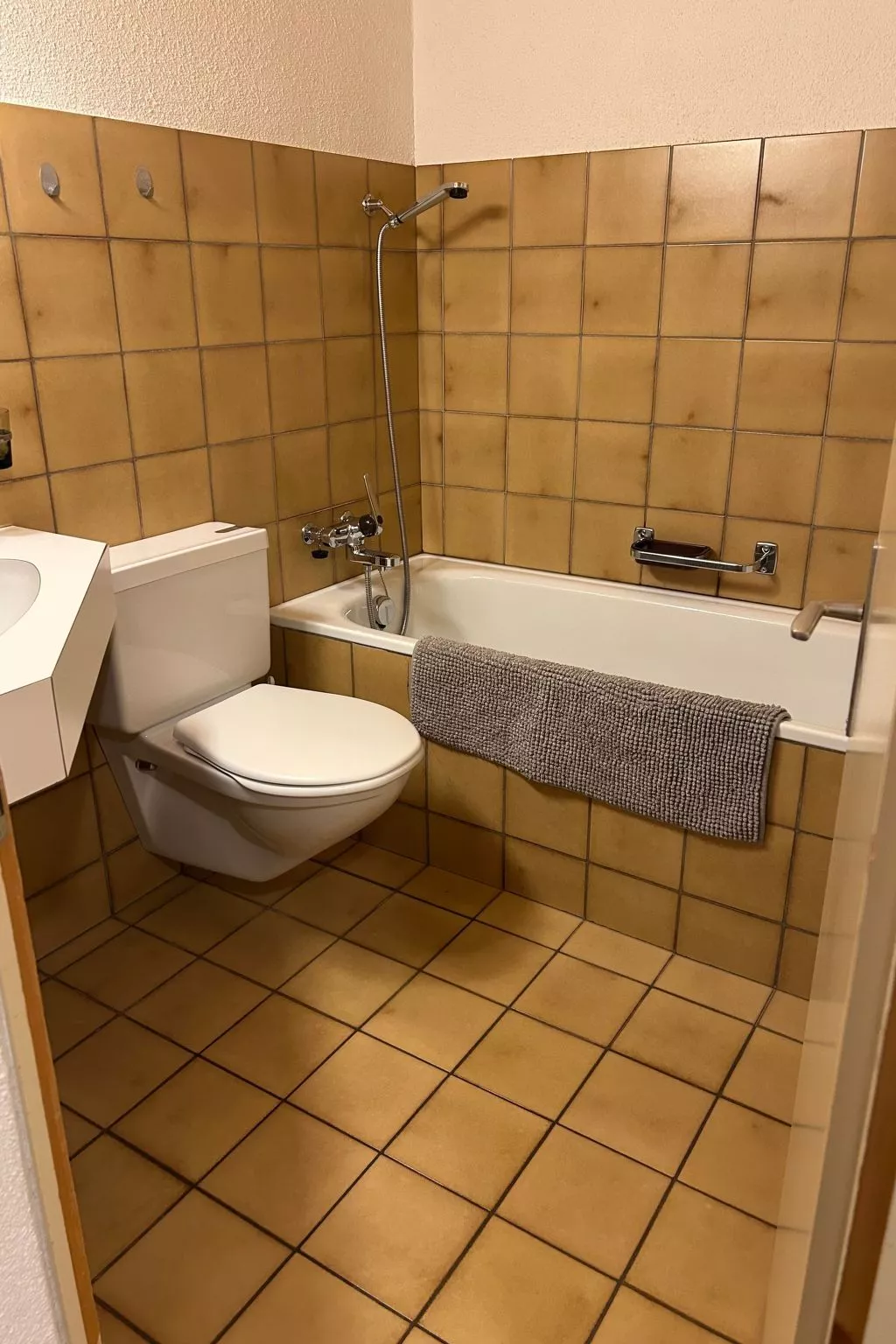 Wohnung Hirschi-Binnen