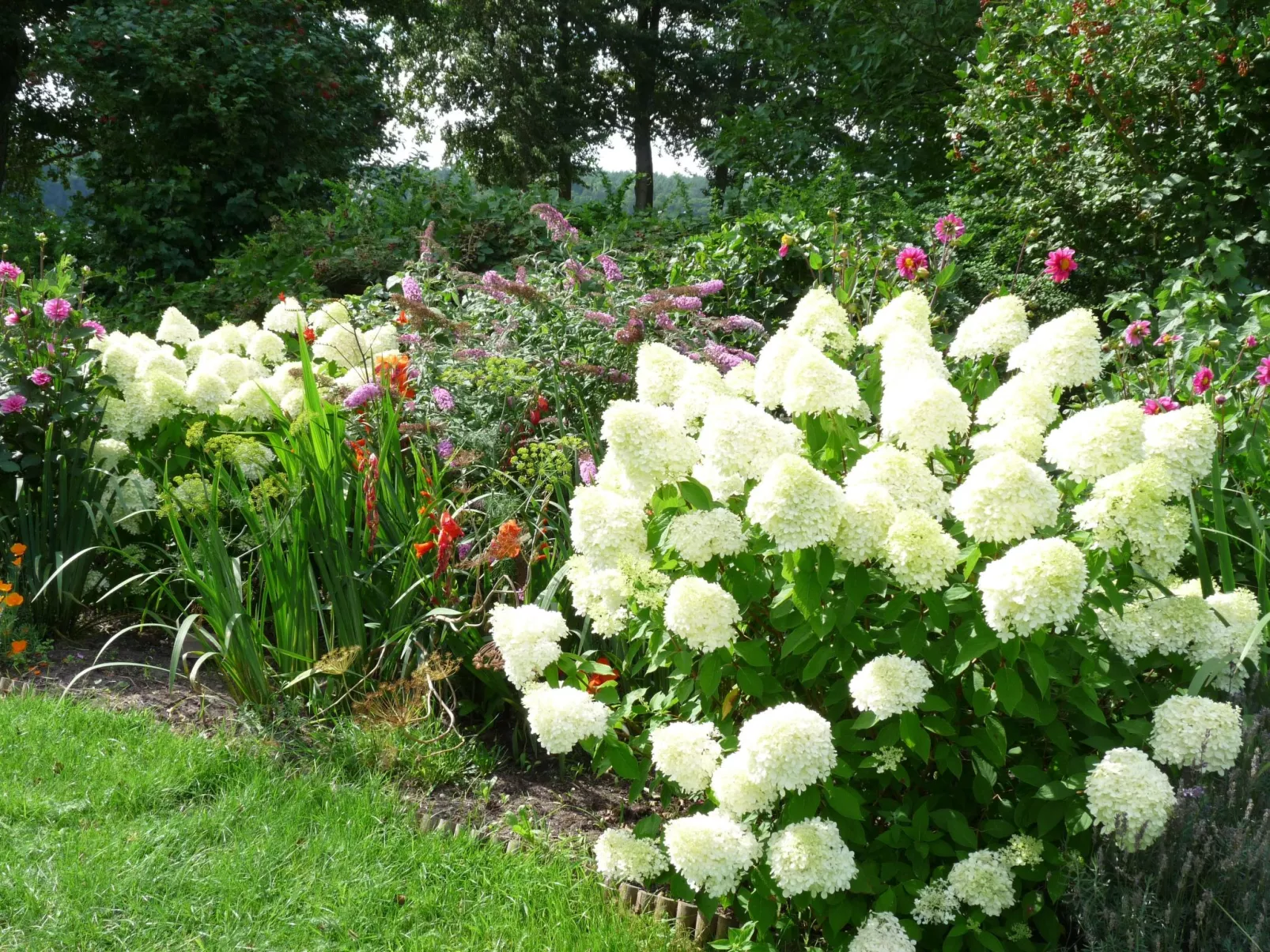 Marias Ferienhäuser-Image-tags.info