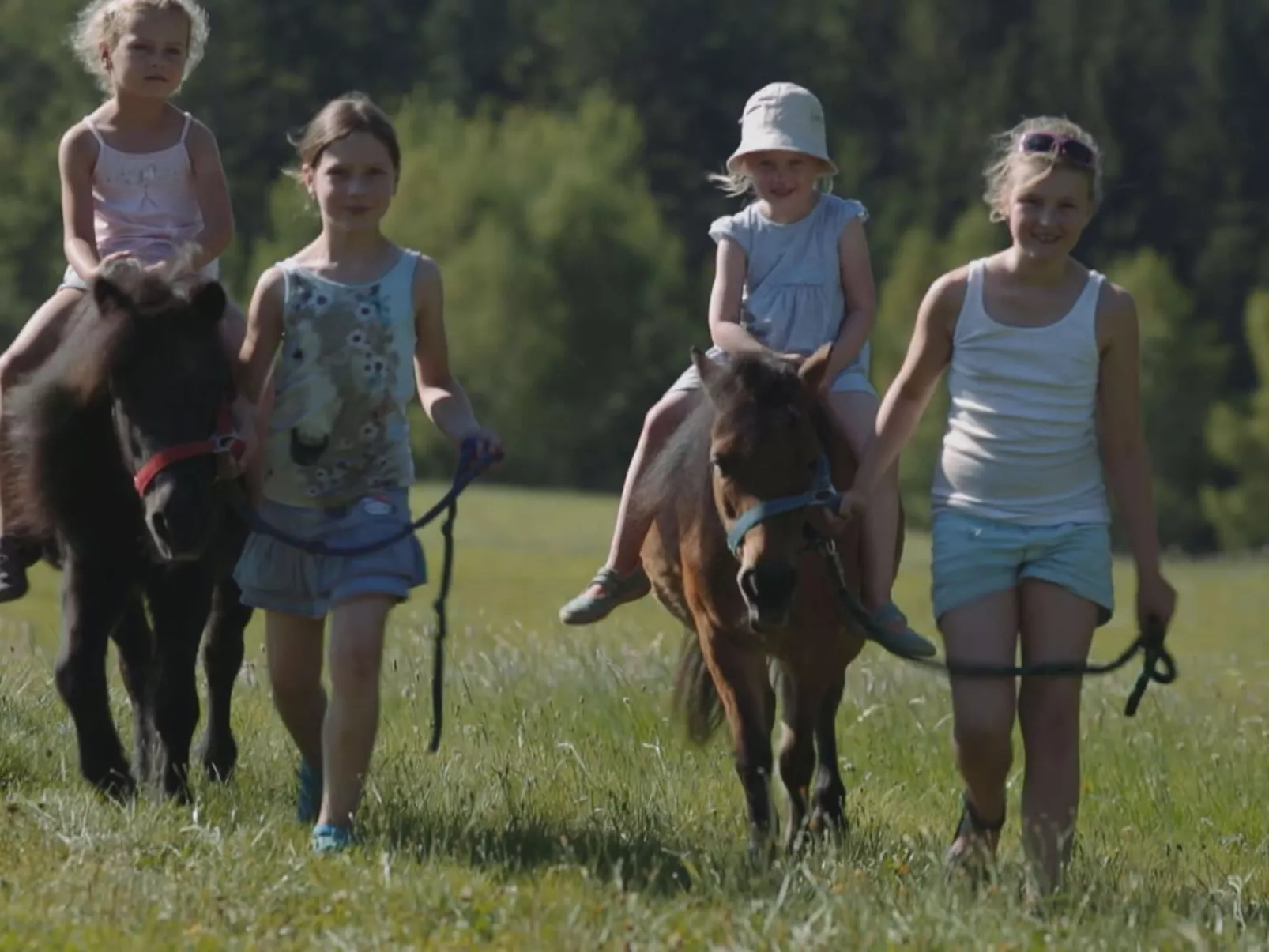 Uriges Blockhaus für 5 Personen-Buiten