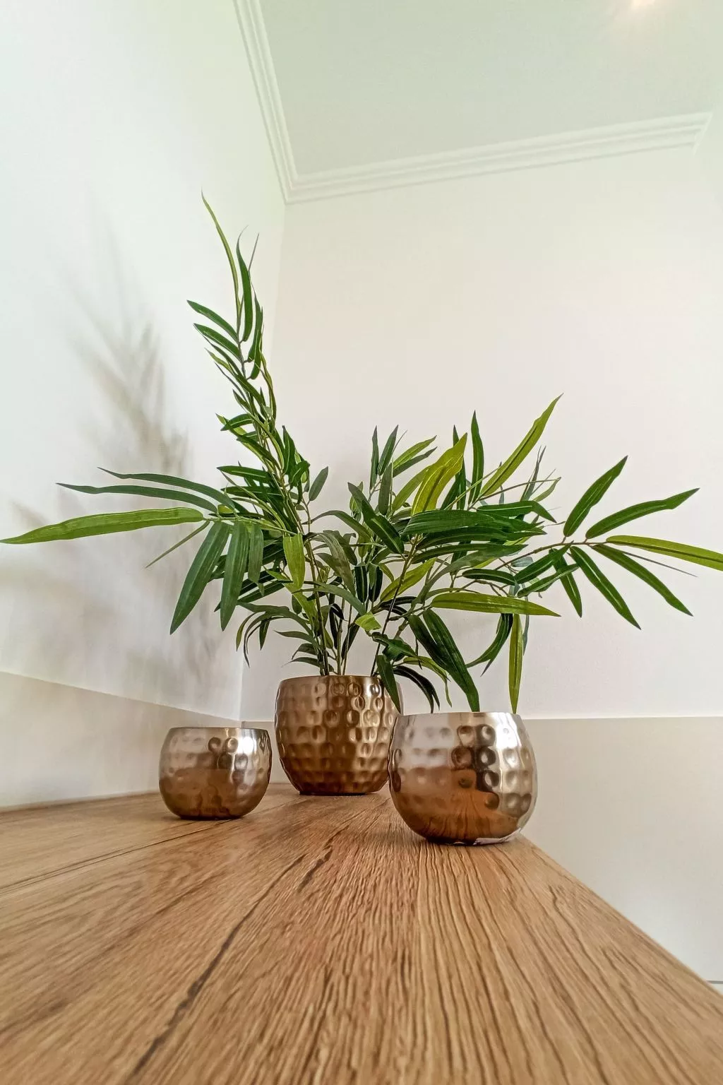 Haus Starkenburg-Binnen