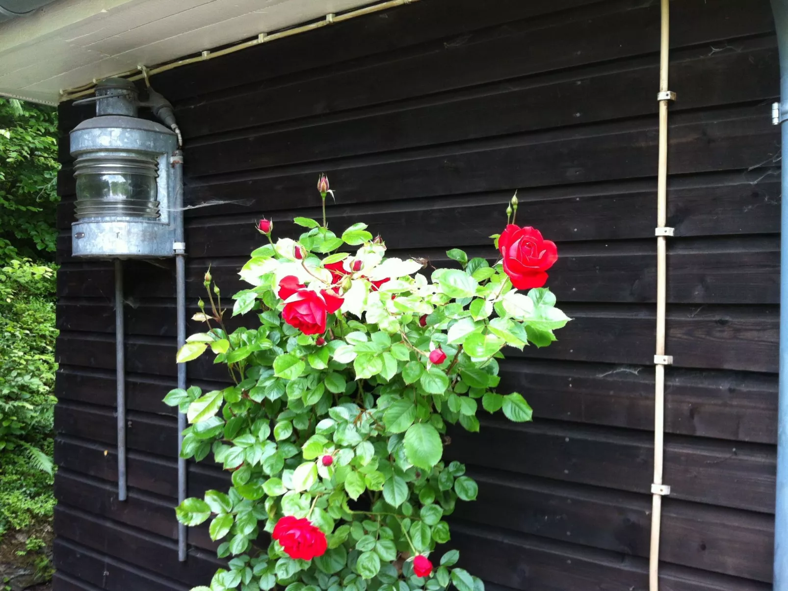 Ederseeblick in Bringhausen am Edersee-Buiten