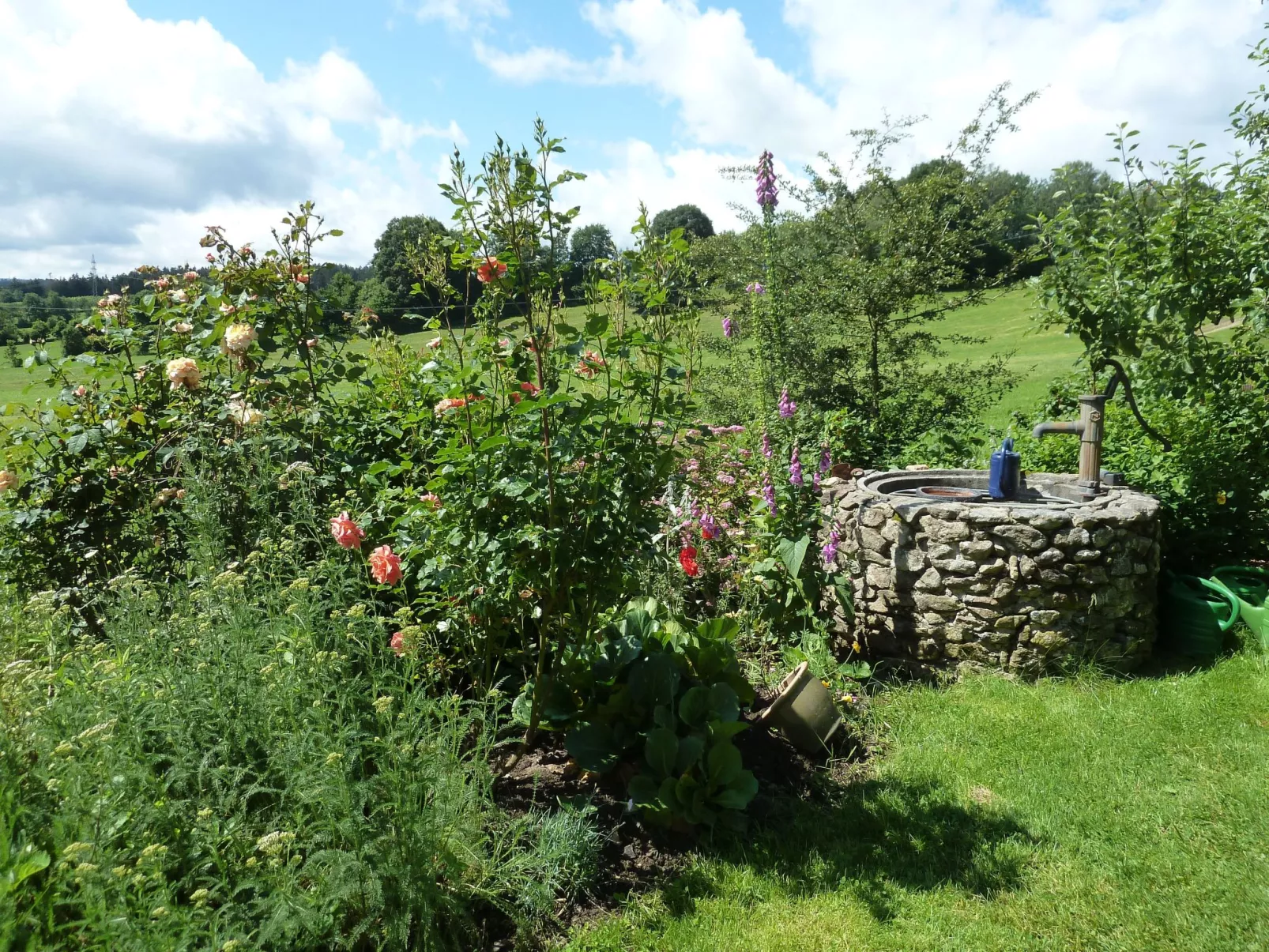 Landhaus Wildfeuer-Buiten
