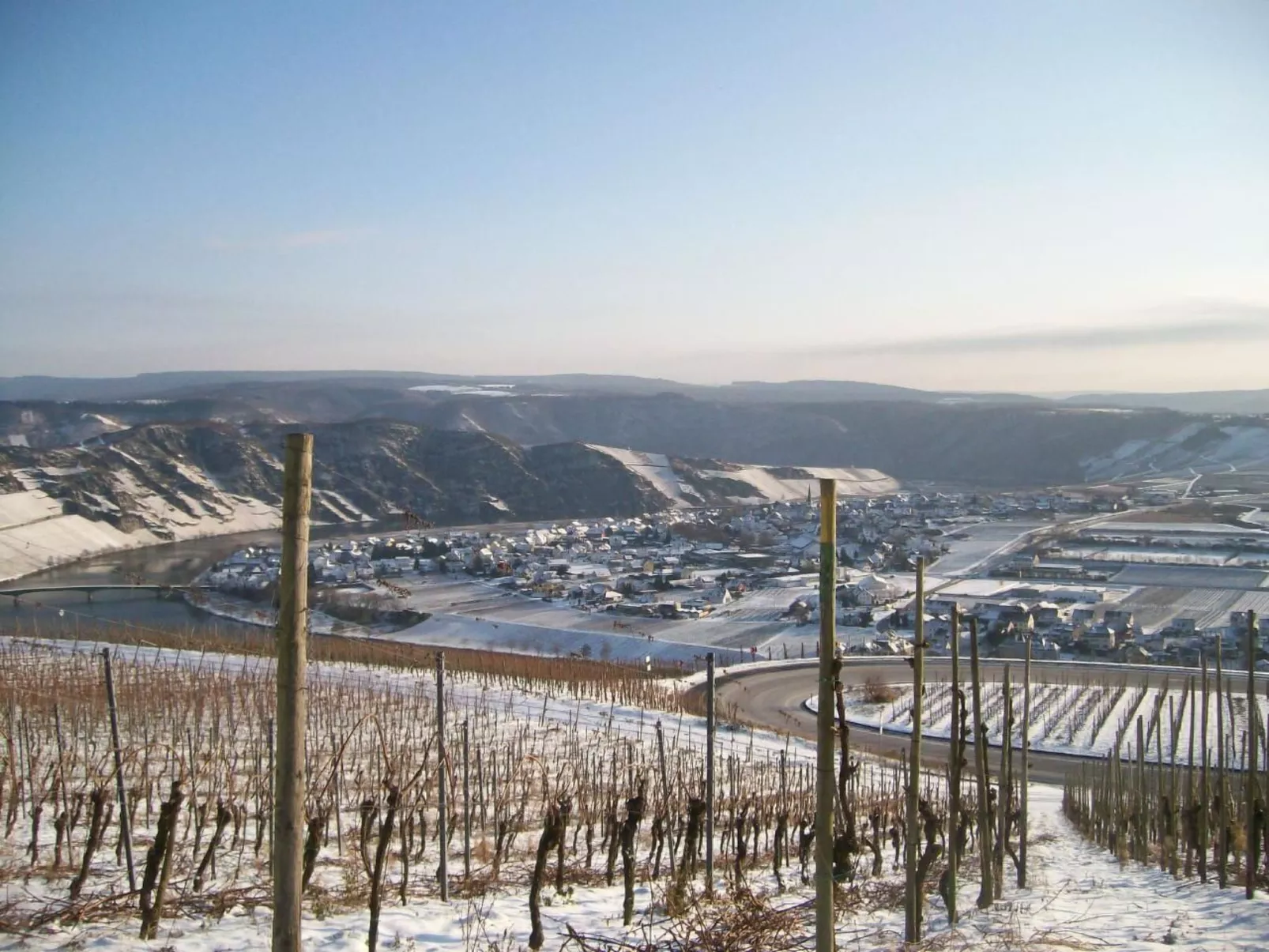 Berkele-Image-tags.info