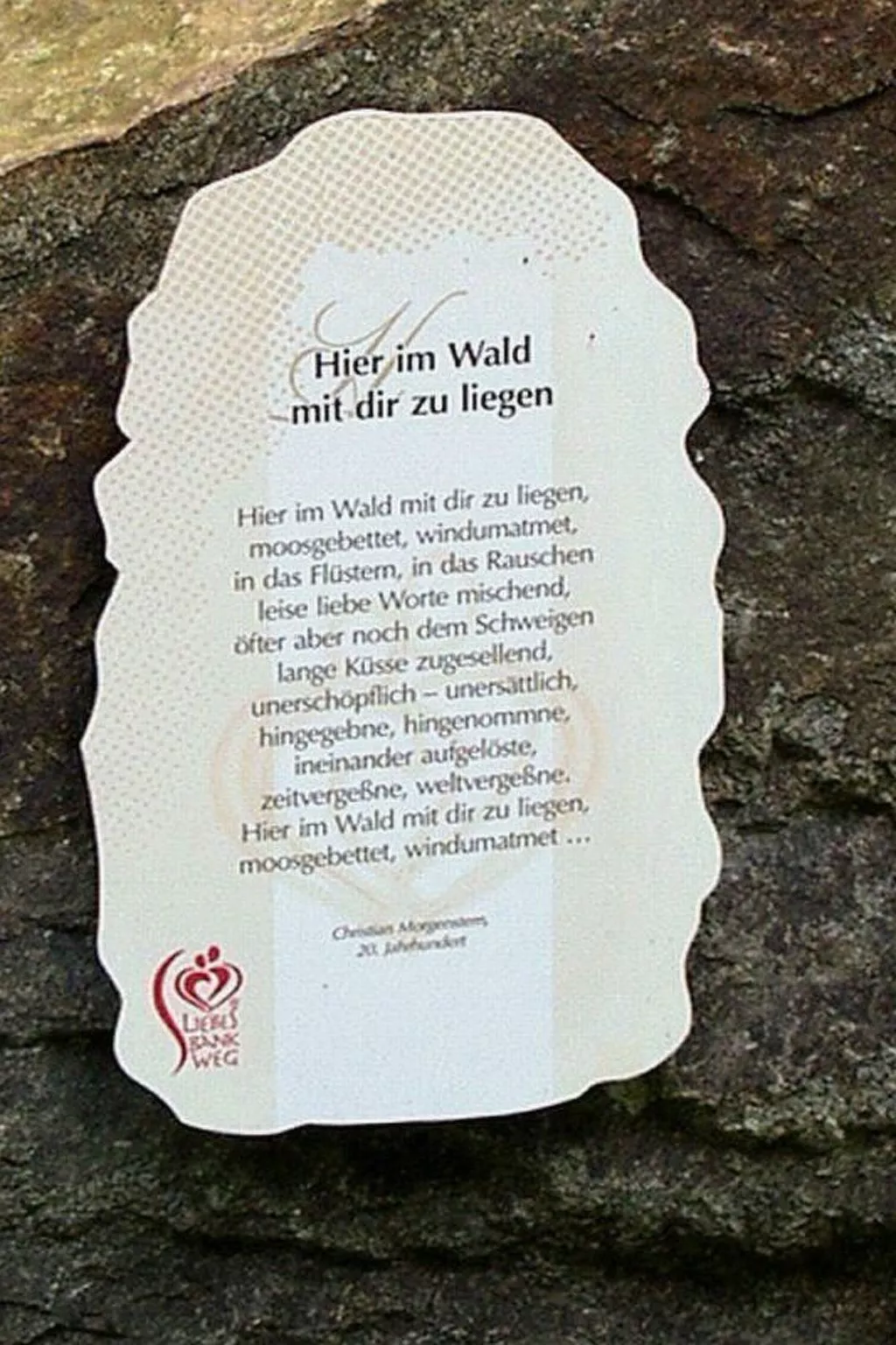 Premium-Ferienwohnung mit Bergblick im Haus Hopfe-Buiten