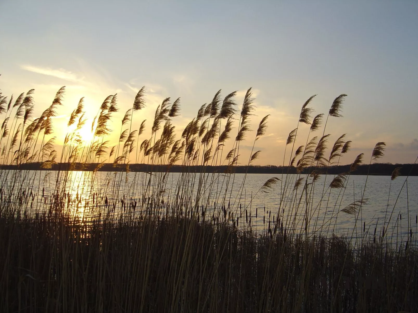 Helle Ferienwohnung für drei Personen-Buiten
