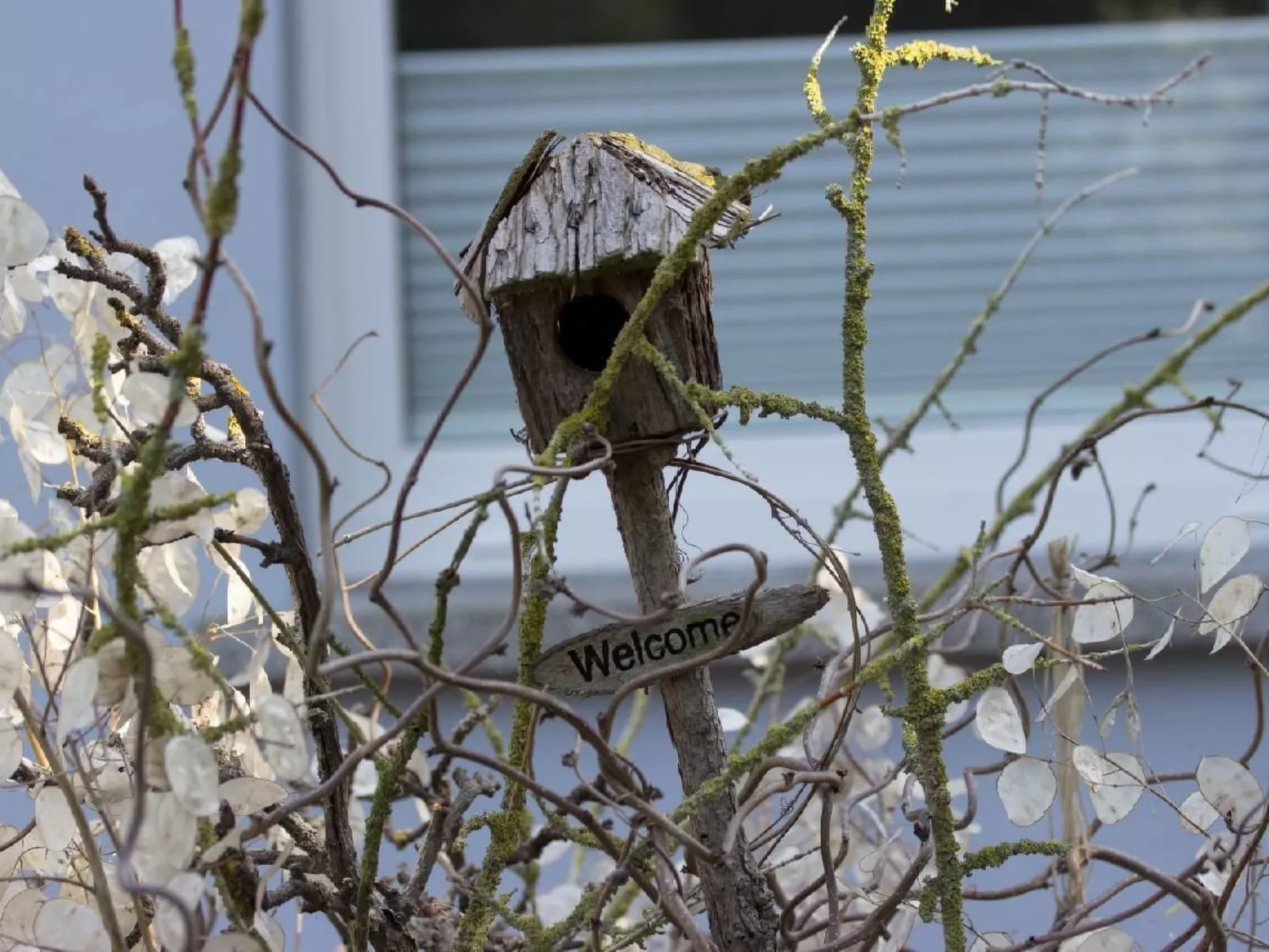 Monski Neustadt-Glewe-Buiten