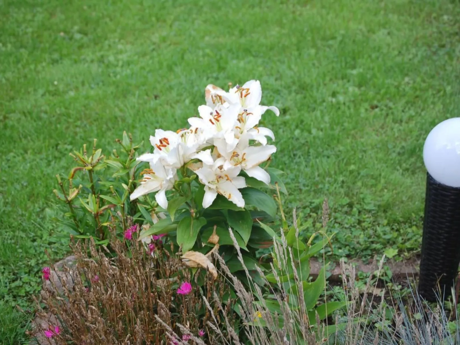 FeWo Nr 1 Harztor-Image-tags.info