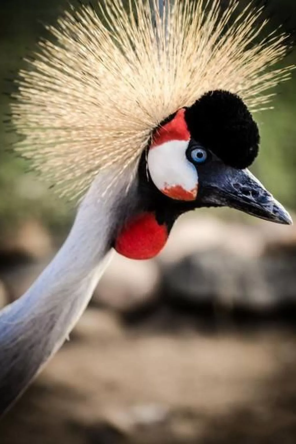 Reiterstübchen-Image-tags.info