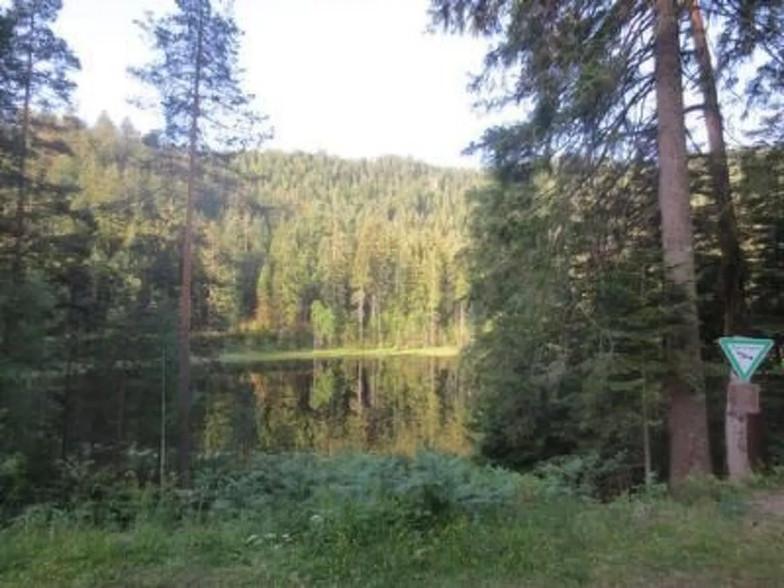 Tauchert-Image-tags.info