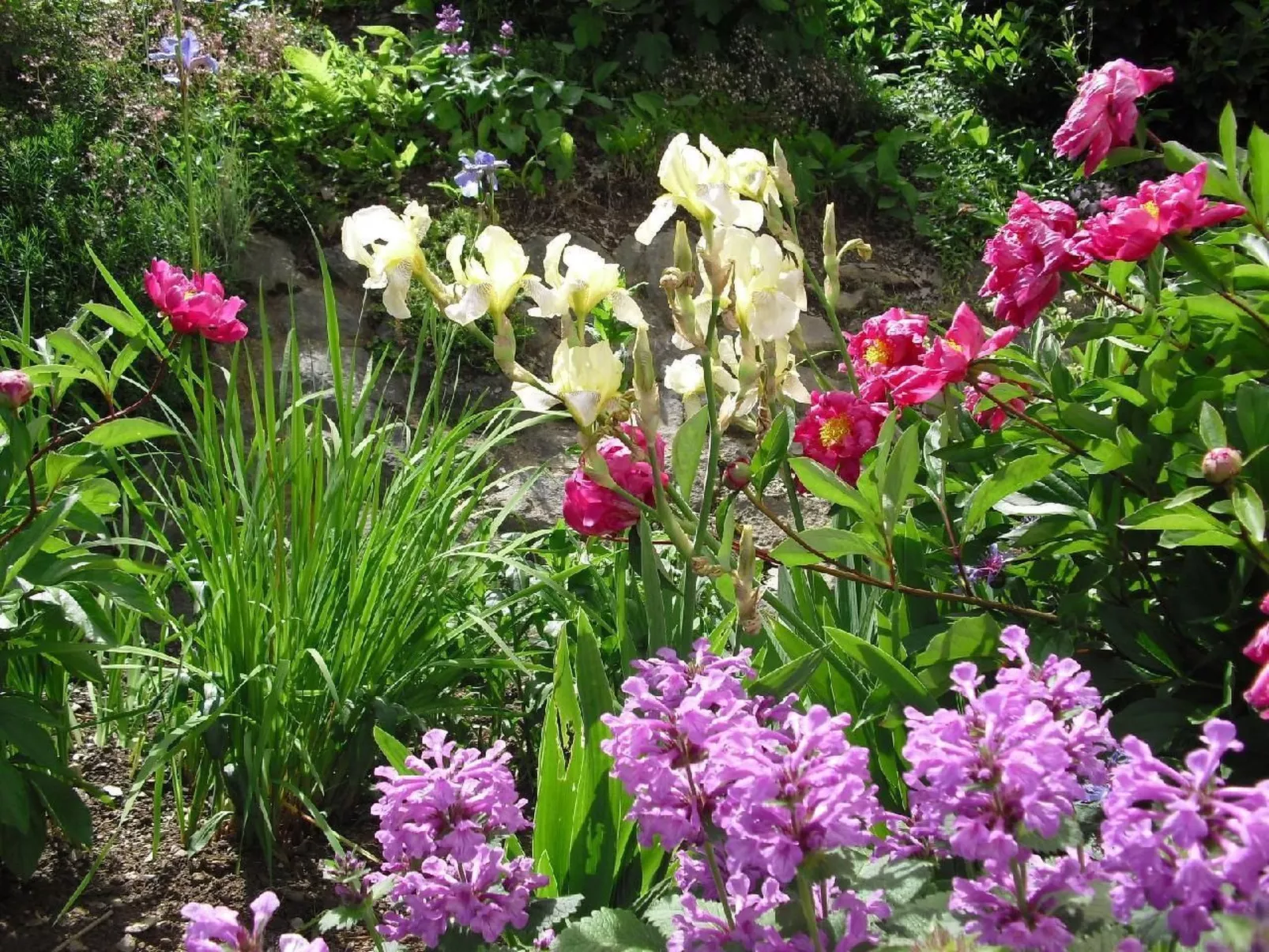 Haus Schnurbus - Image-tags.info