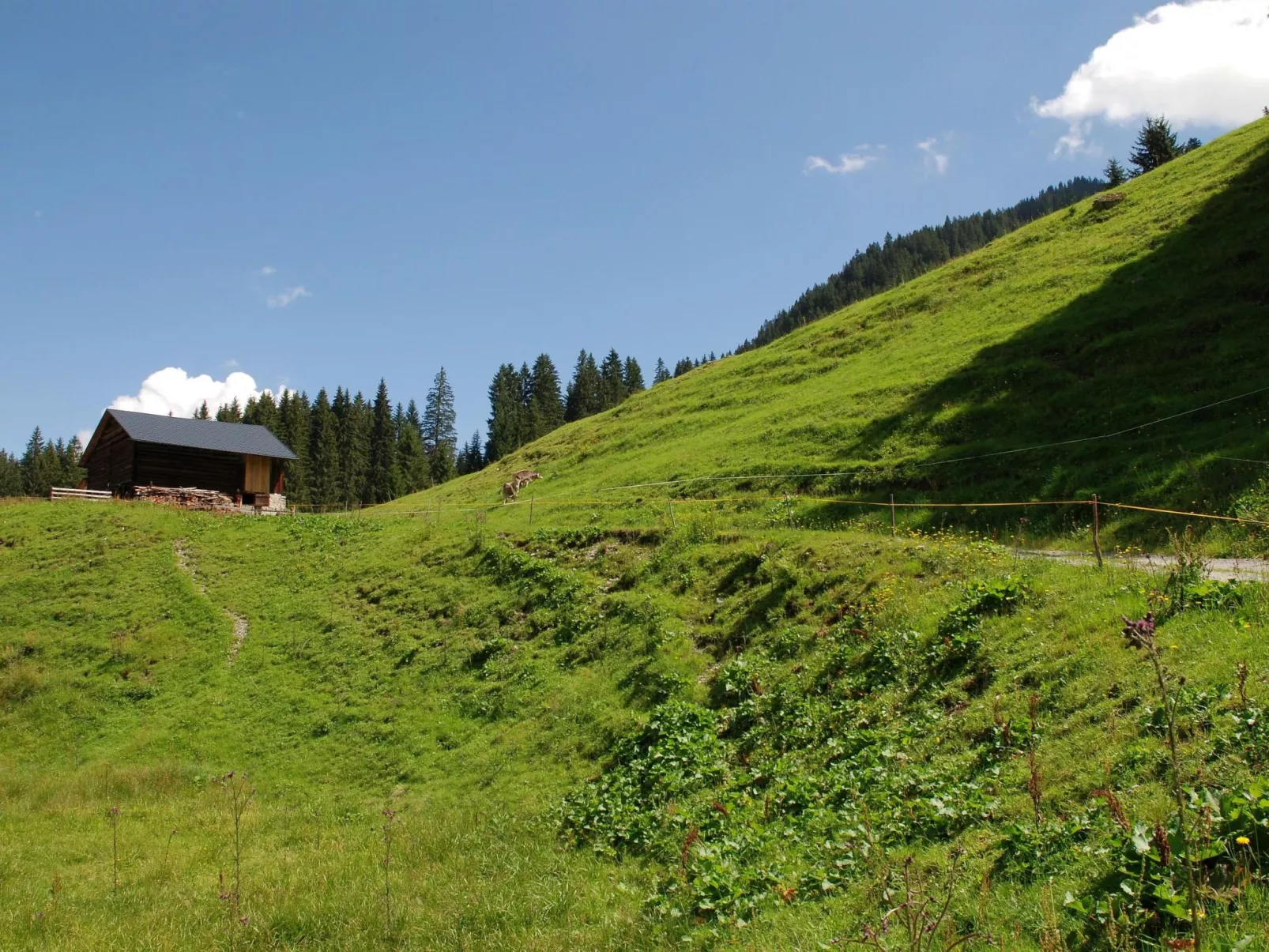 Bohemia 3 in Sankt Gallenkirch-Buiten