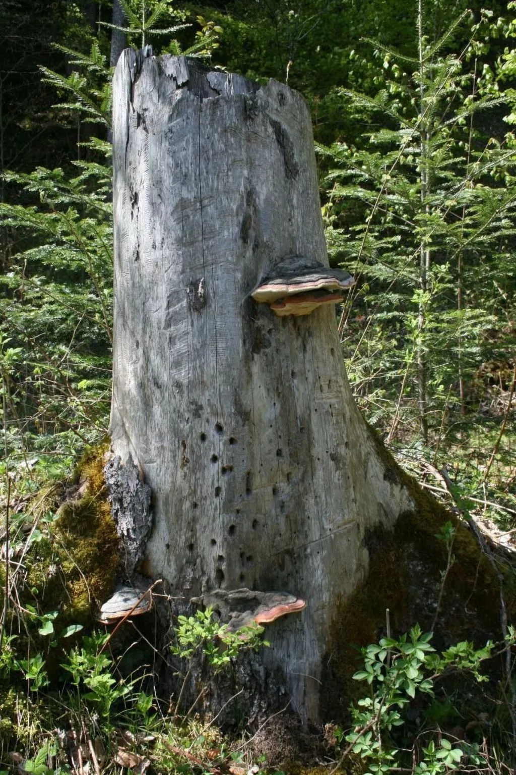 Fewo mit Herz-Image-tags.info