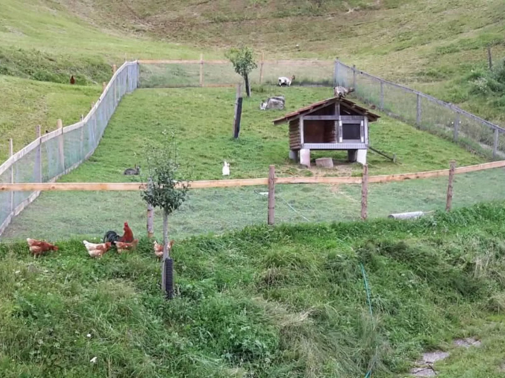 Schwändelifluh-Buiten