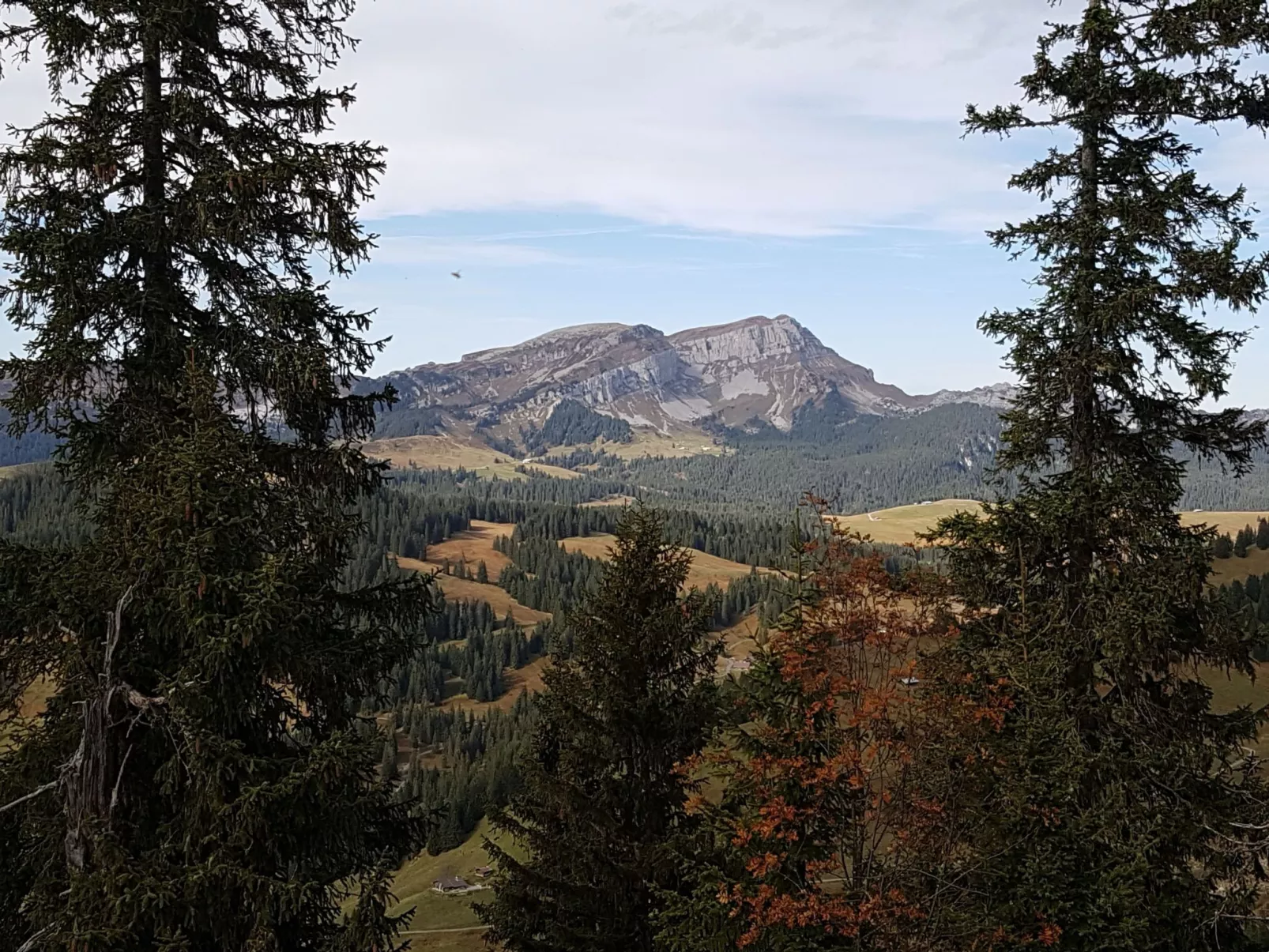 Fewo Wychelboden-Image-tags.info