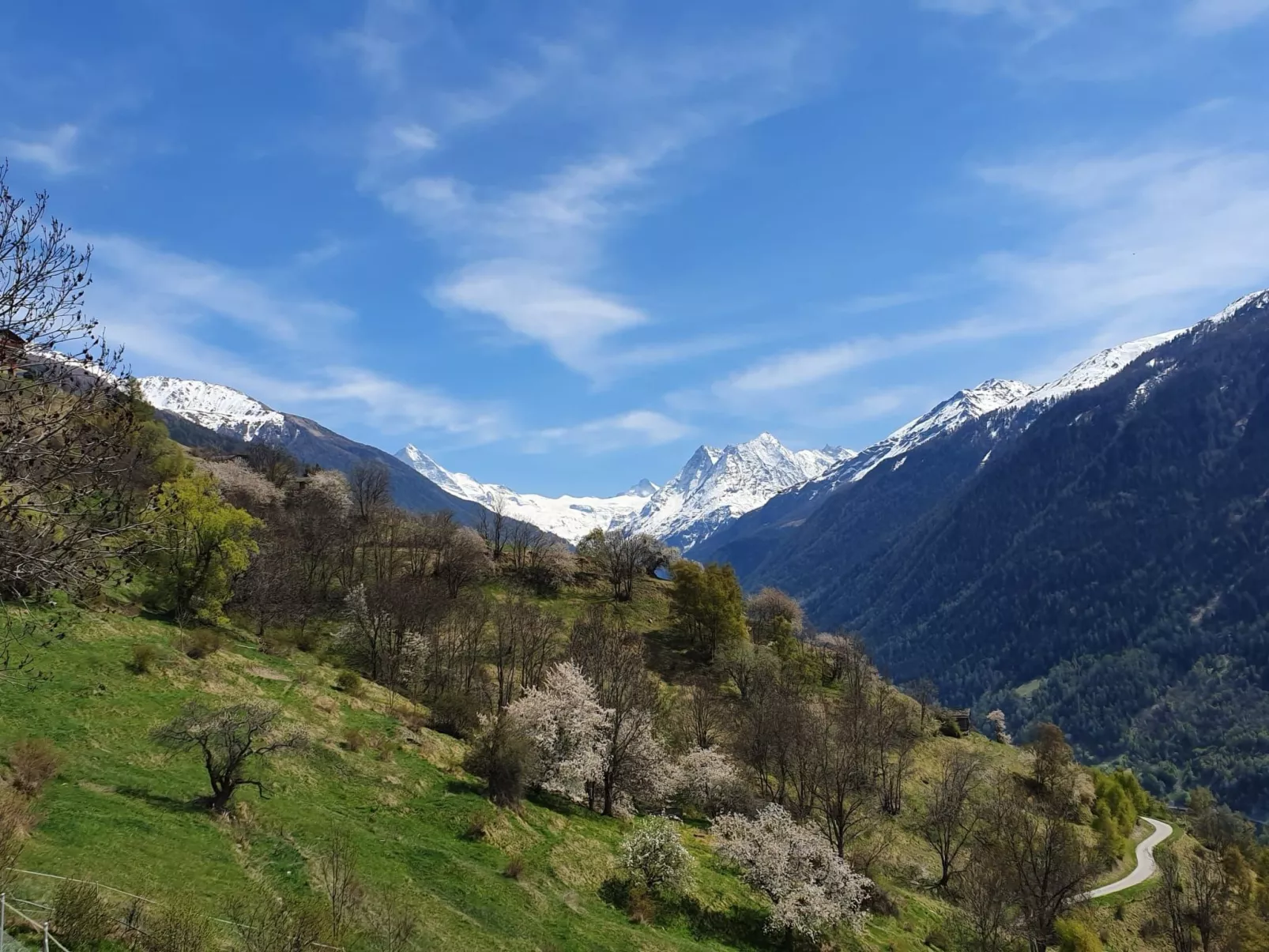 Typische Wohnung Le Ver Luisant. Val d'Hérens-Image-tags.info