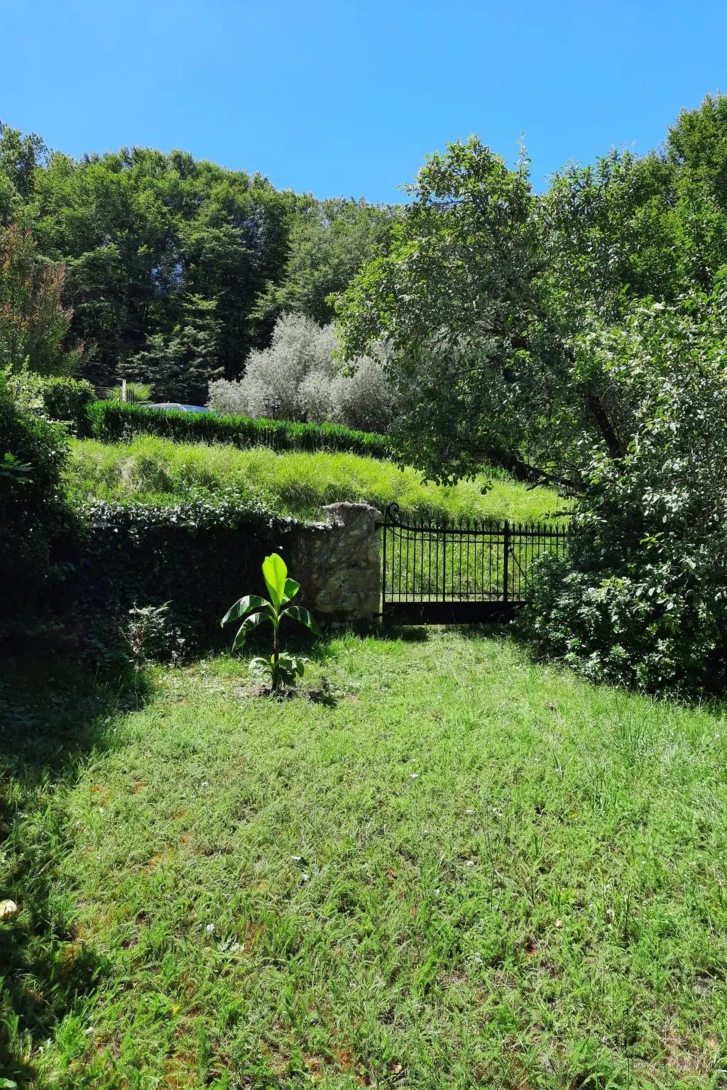 Landhaus in der Dordogne-Image-tags.info