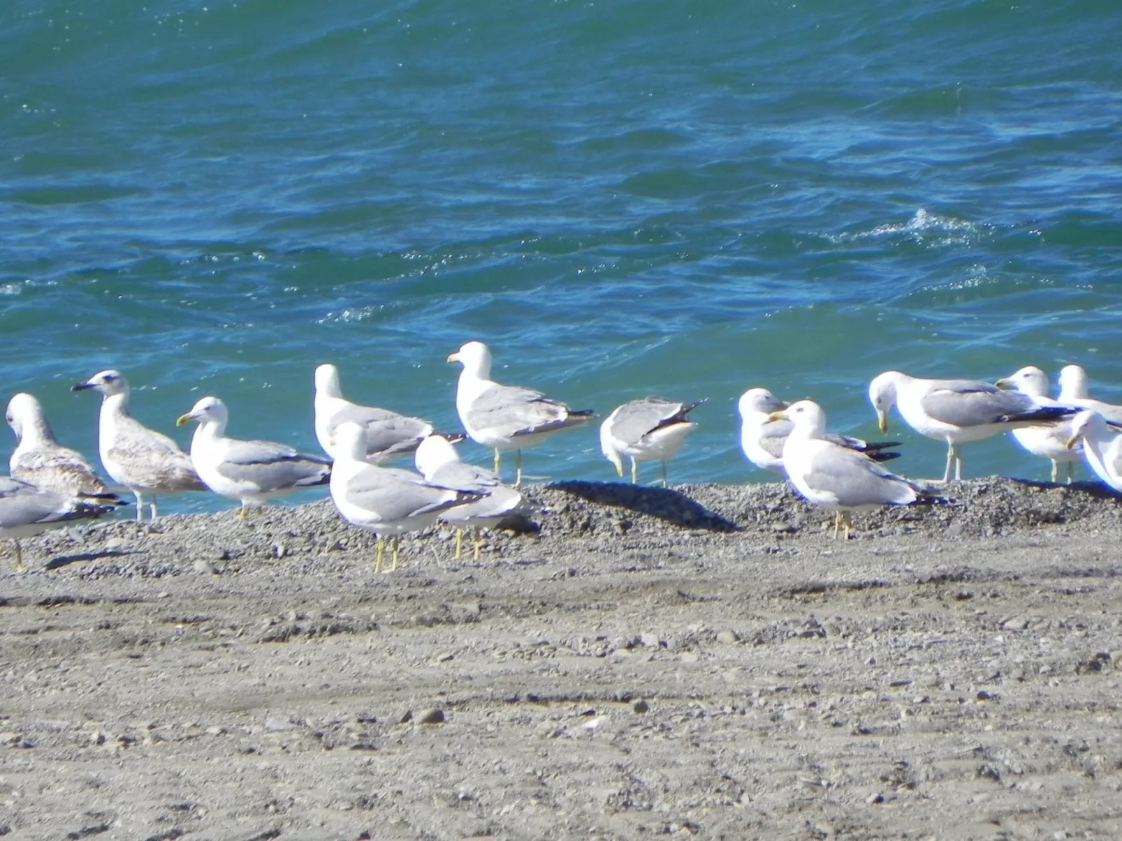 Residence du Grazel-Image-tags.info