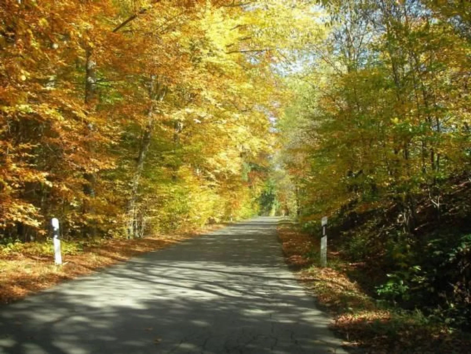 Haus" Walter"-Buiten