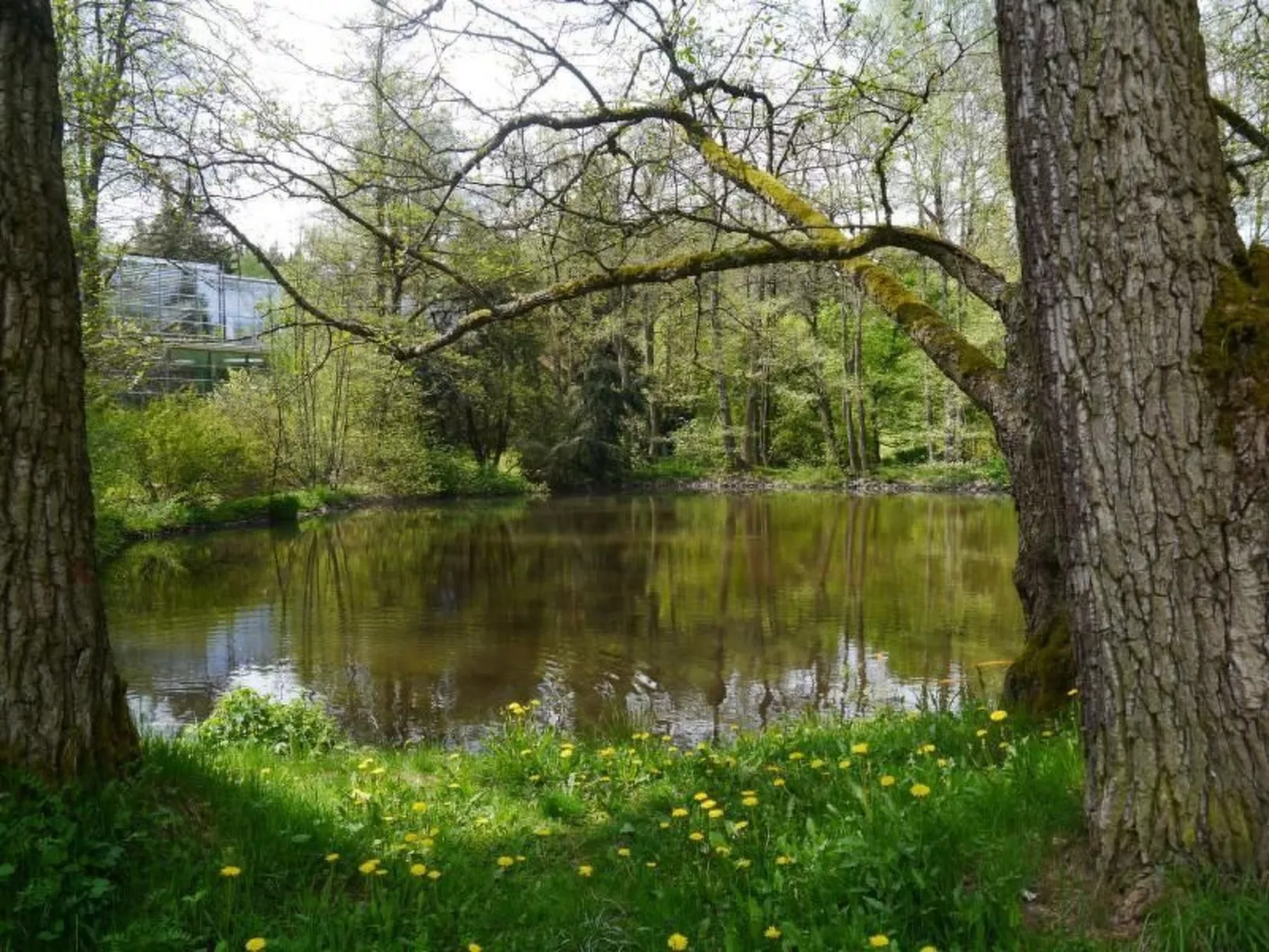 Gästehaus Siebert-Image-tags.info