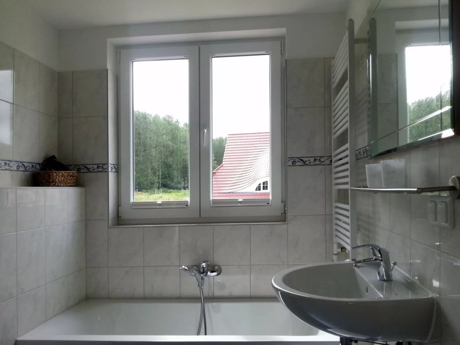 Anemone-Image-tags.info