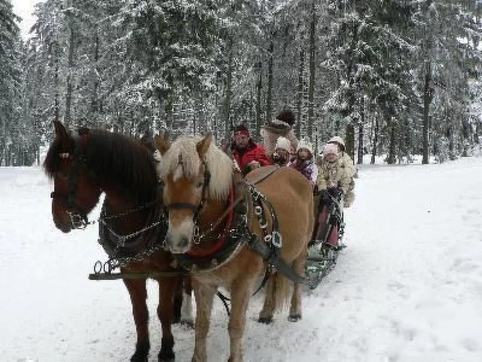 Für 6 Personen im Thüringer Wald-Buiten
