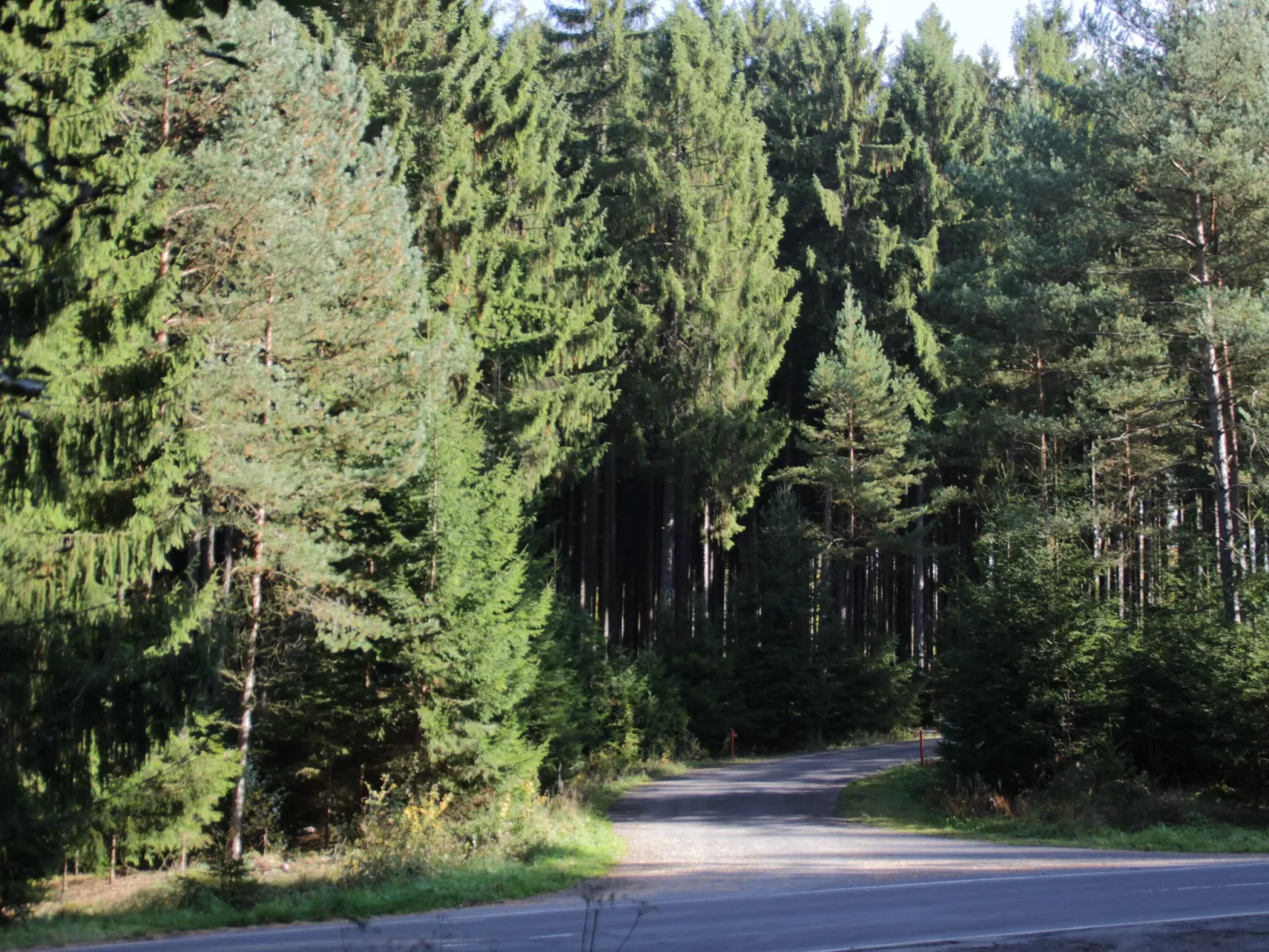 Cat'n'Boots Haus-Buiten